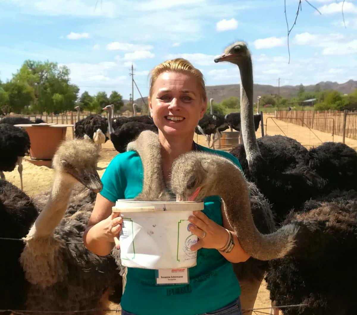 Südafrika - Susanne Schirmann