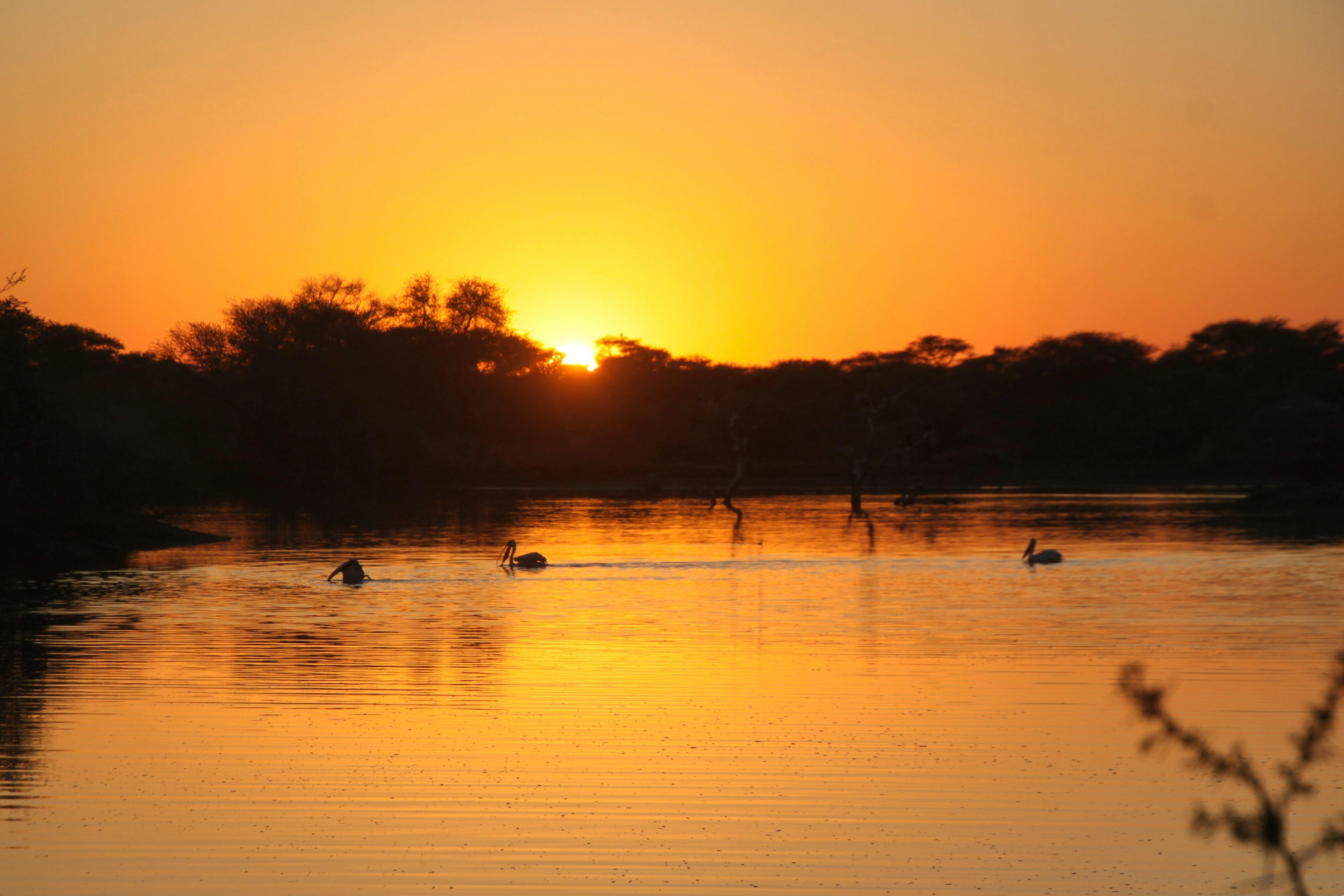 Namibia - Falk Rätzer
