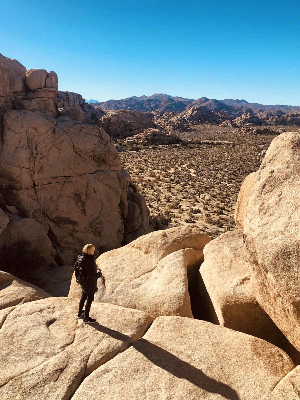 Joshua-Tree-Nationalpark - Anna Petzoldt
