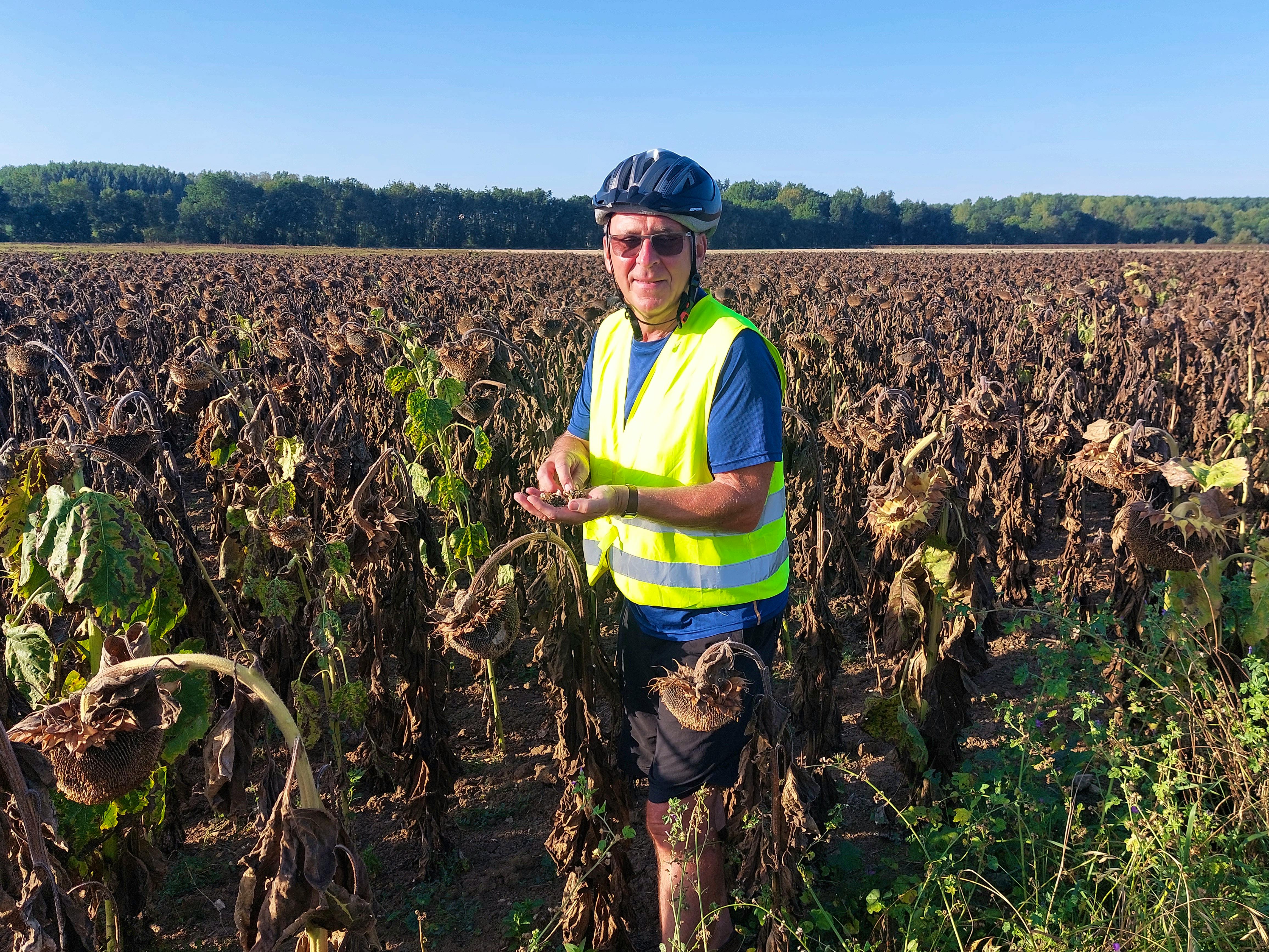 Am Rande des Loire-Radweges - Dieter Braune