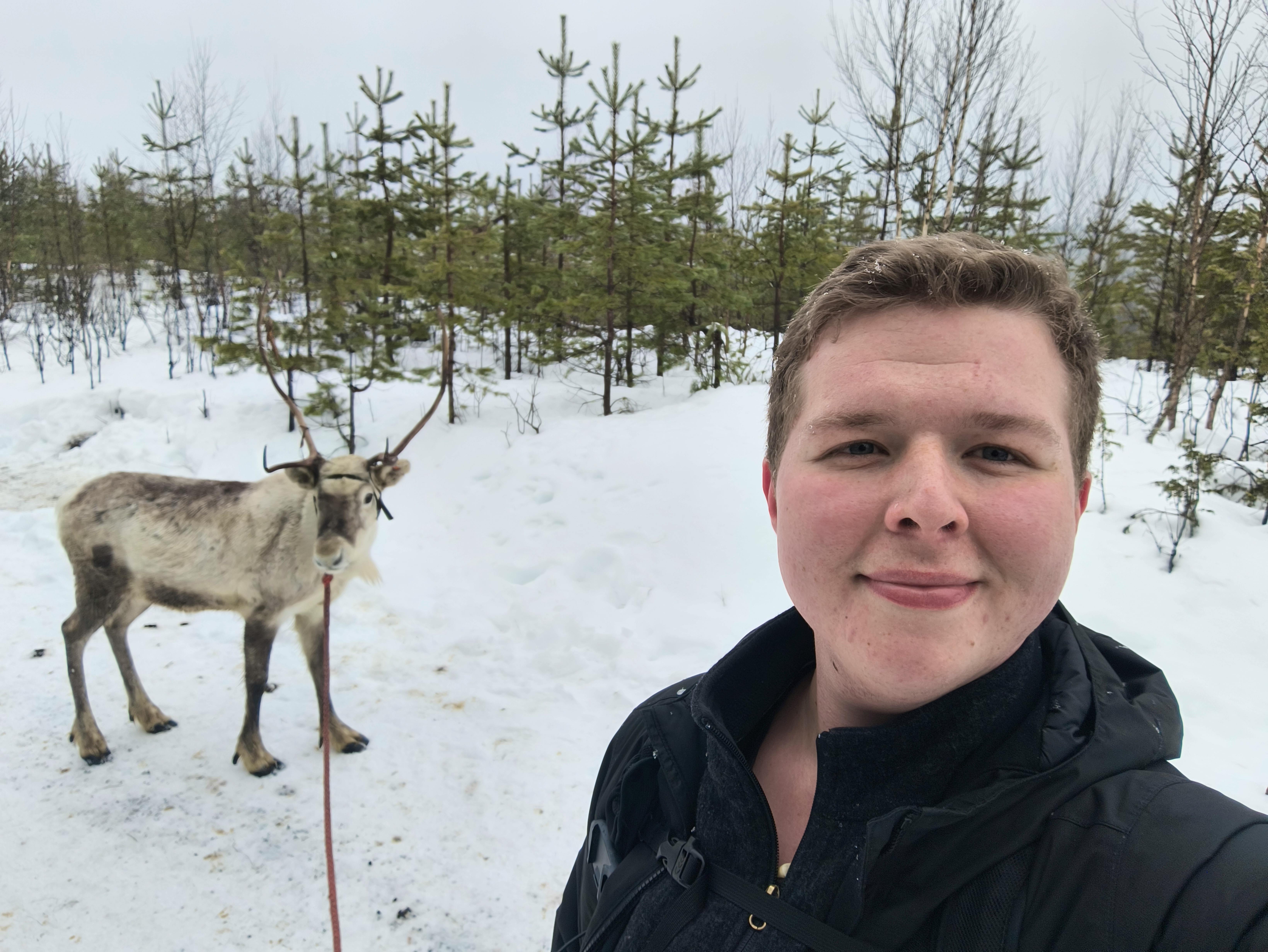 Mit den Rentieren in Lappland - Sten Bernhardt