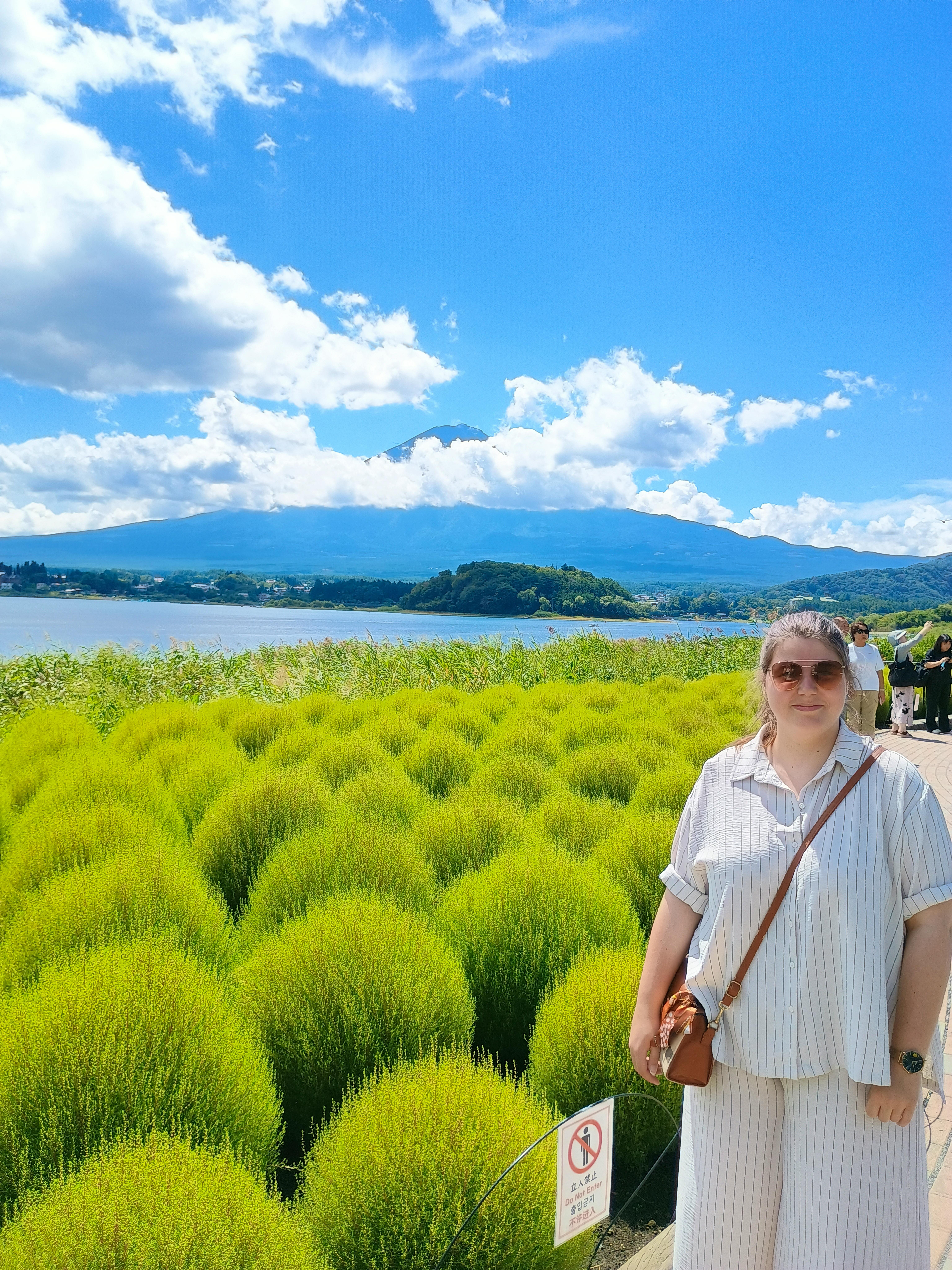 Mt. Fuji Japan  - Johanna König