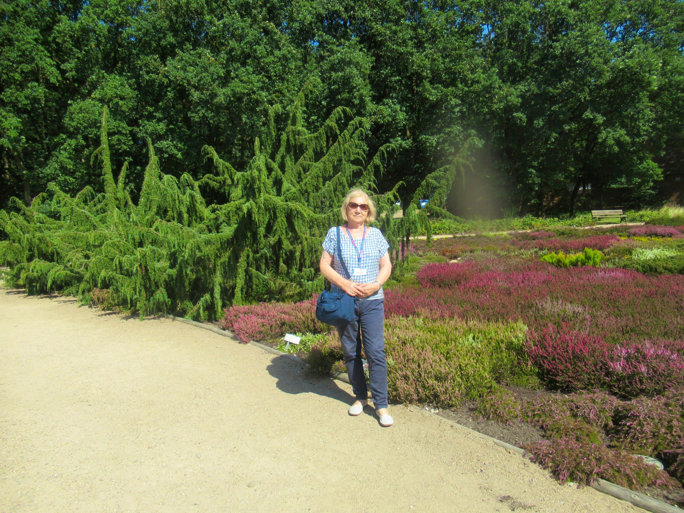 In der Lüneburger Heide - Adelheid Fritzsche