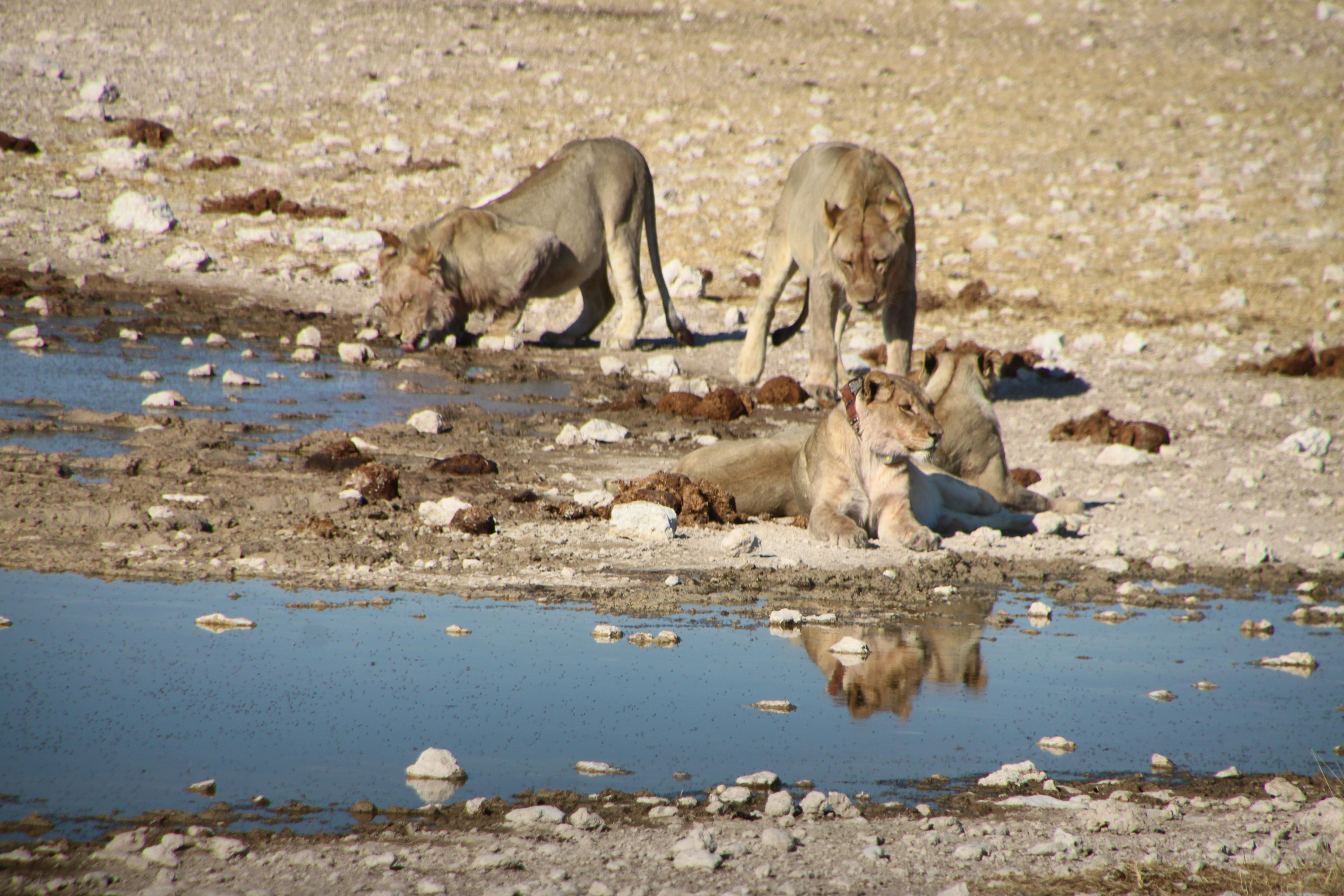 Namibia - Falk Rätzer