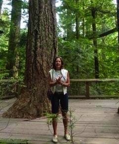 Brasilien - Elisabeth Fox-Maerki