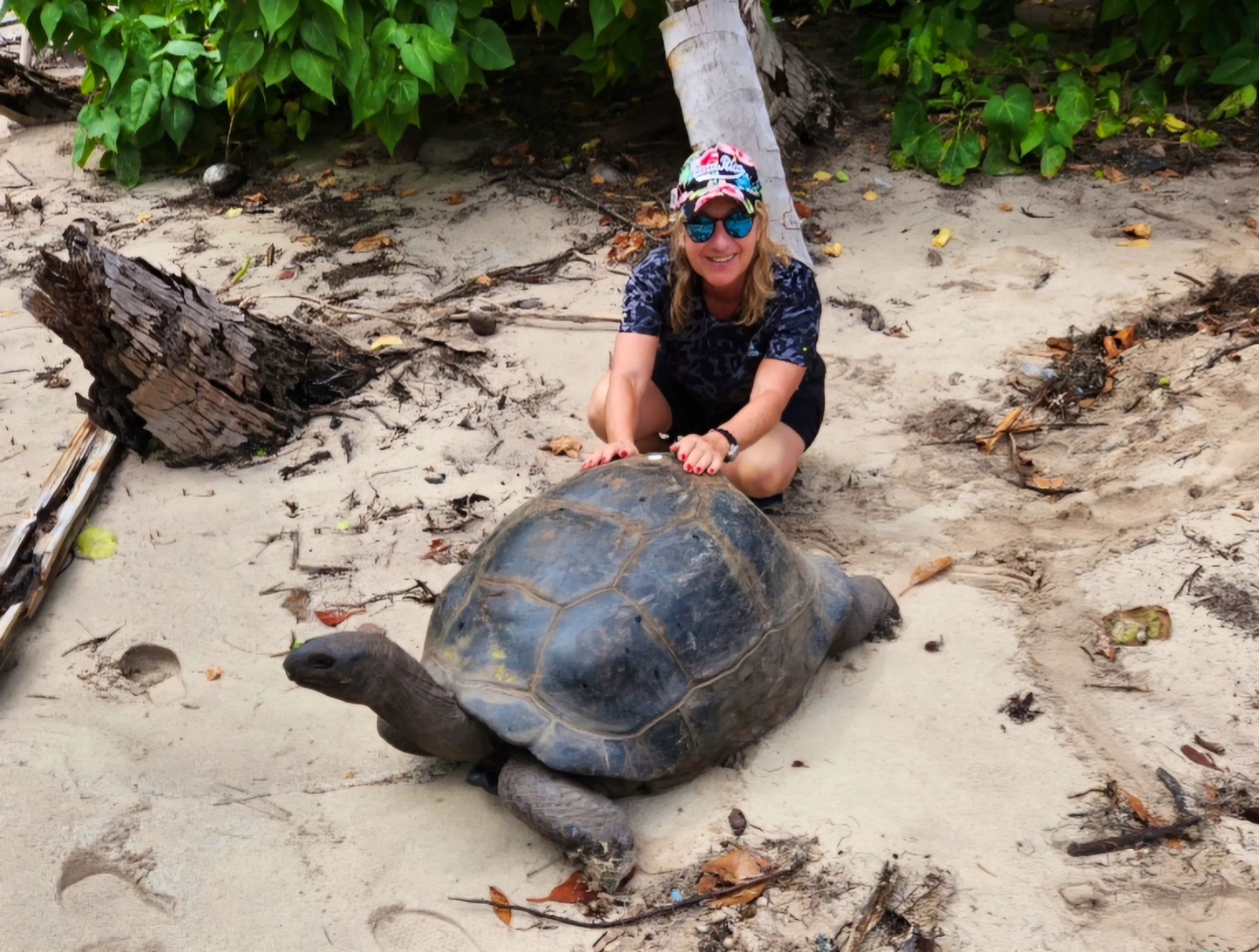 Seychellen - Petra Hady