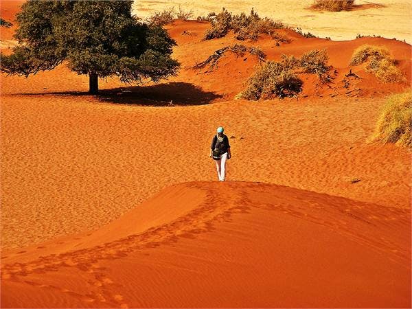 auf den Duenen des Sossusvlei in Namibia - Cornelia Ritter