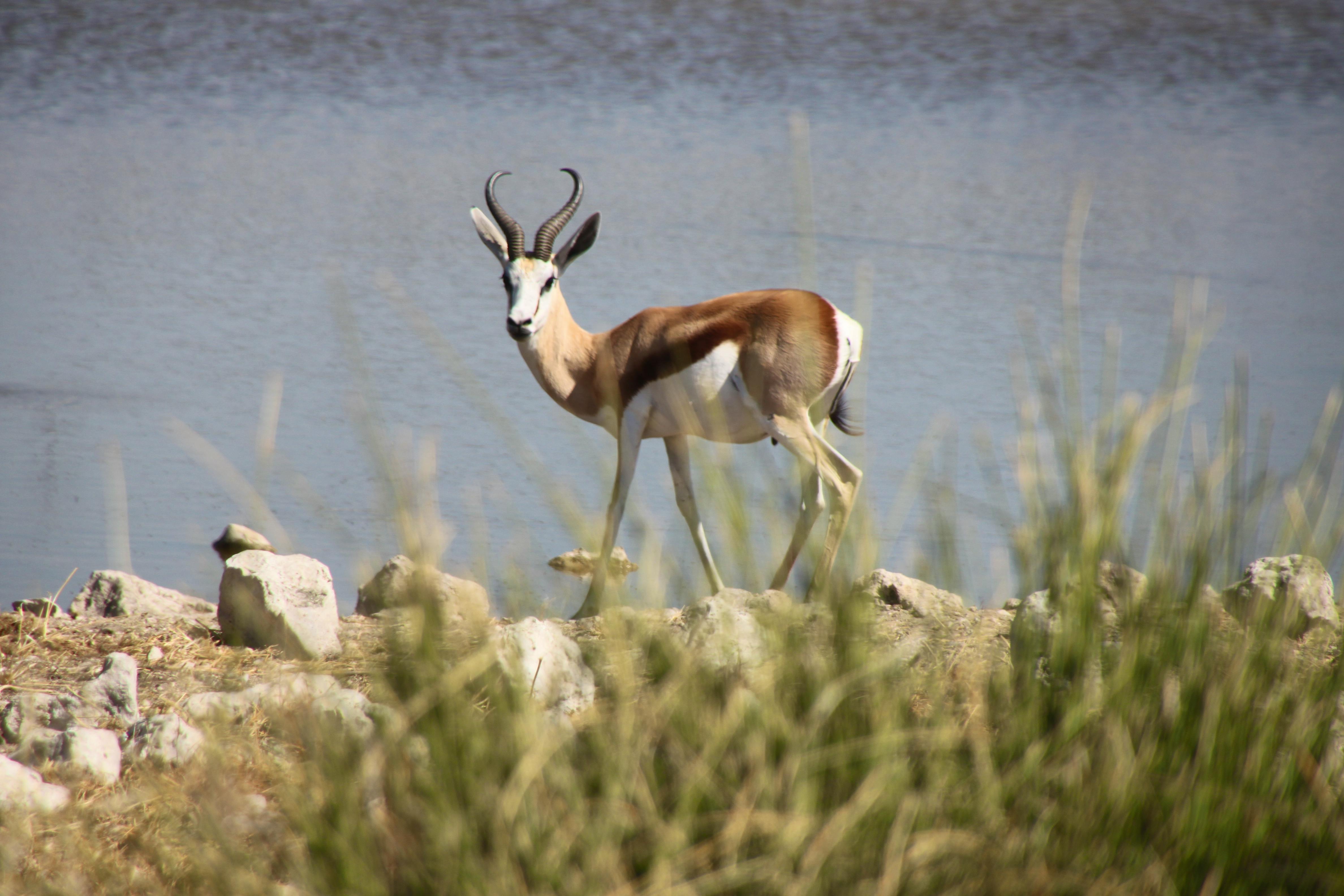 Namibia - Falk Rätzer