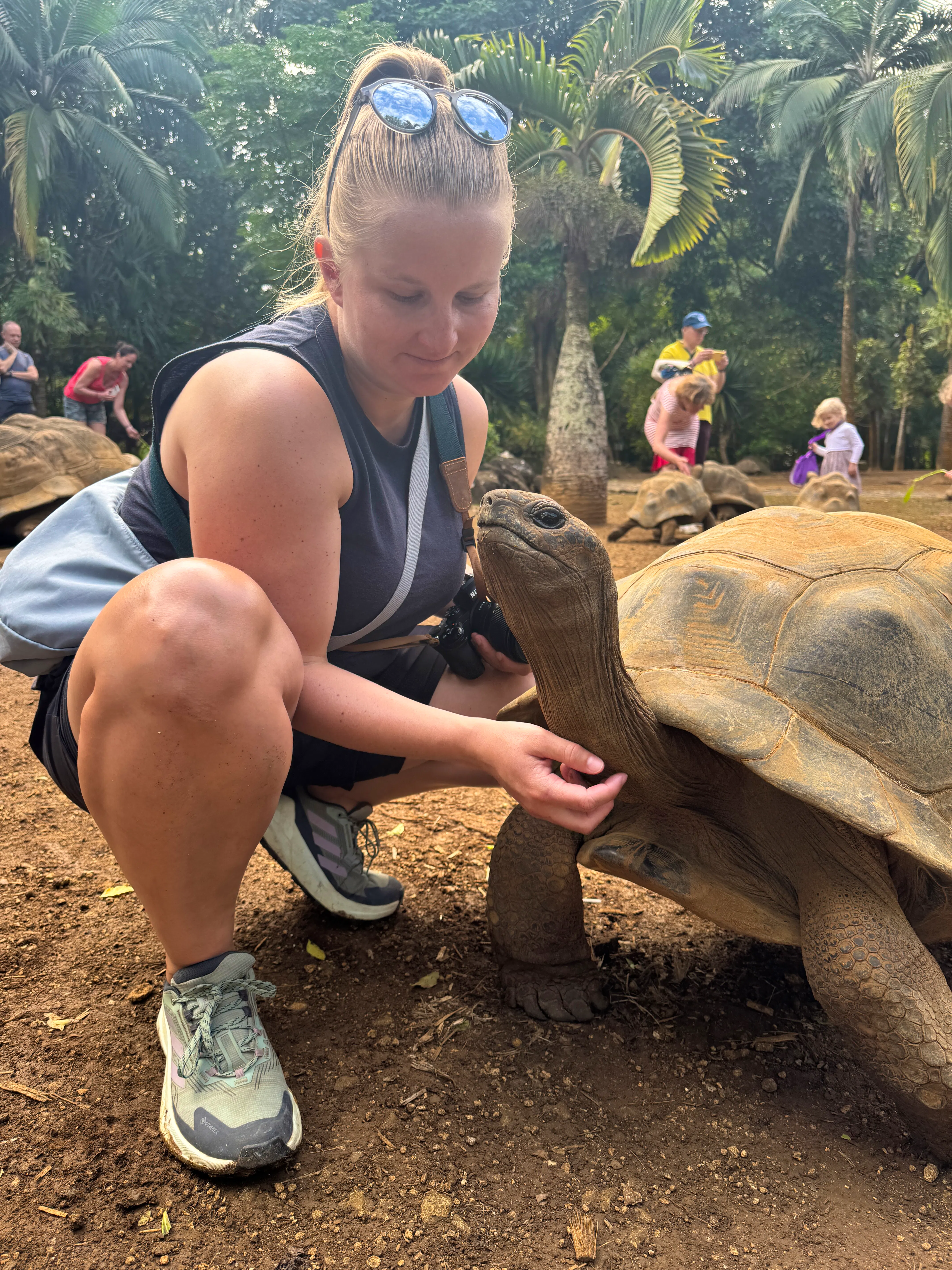 Schildkröten kraulen - Mauritius - Franziska Barthel