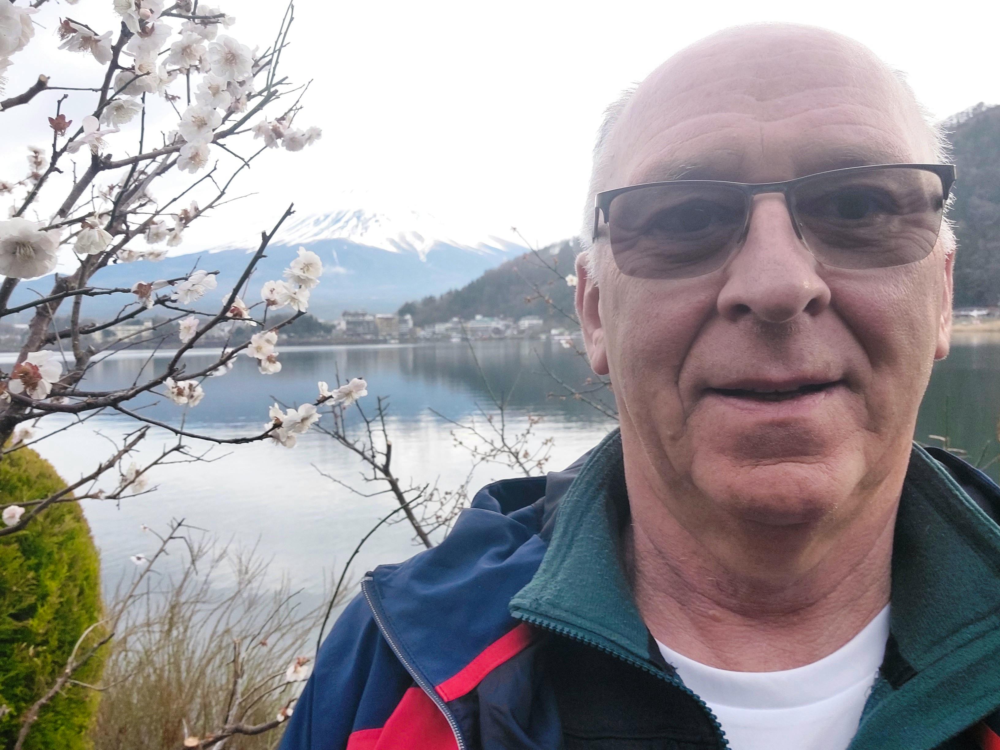 Kirschblüte unterm Fuji - Dieter Braune