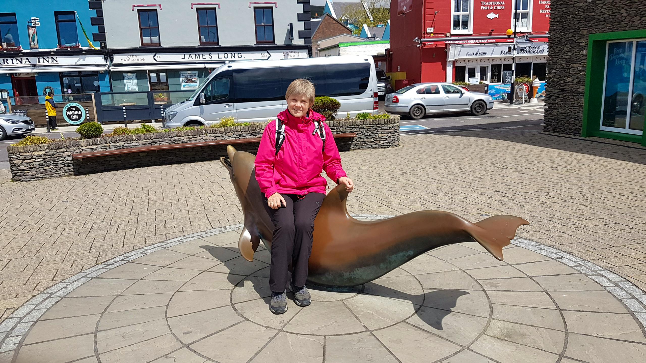 Mit Delfin in Dingle - Constanze Maißel