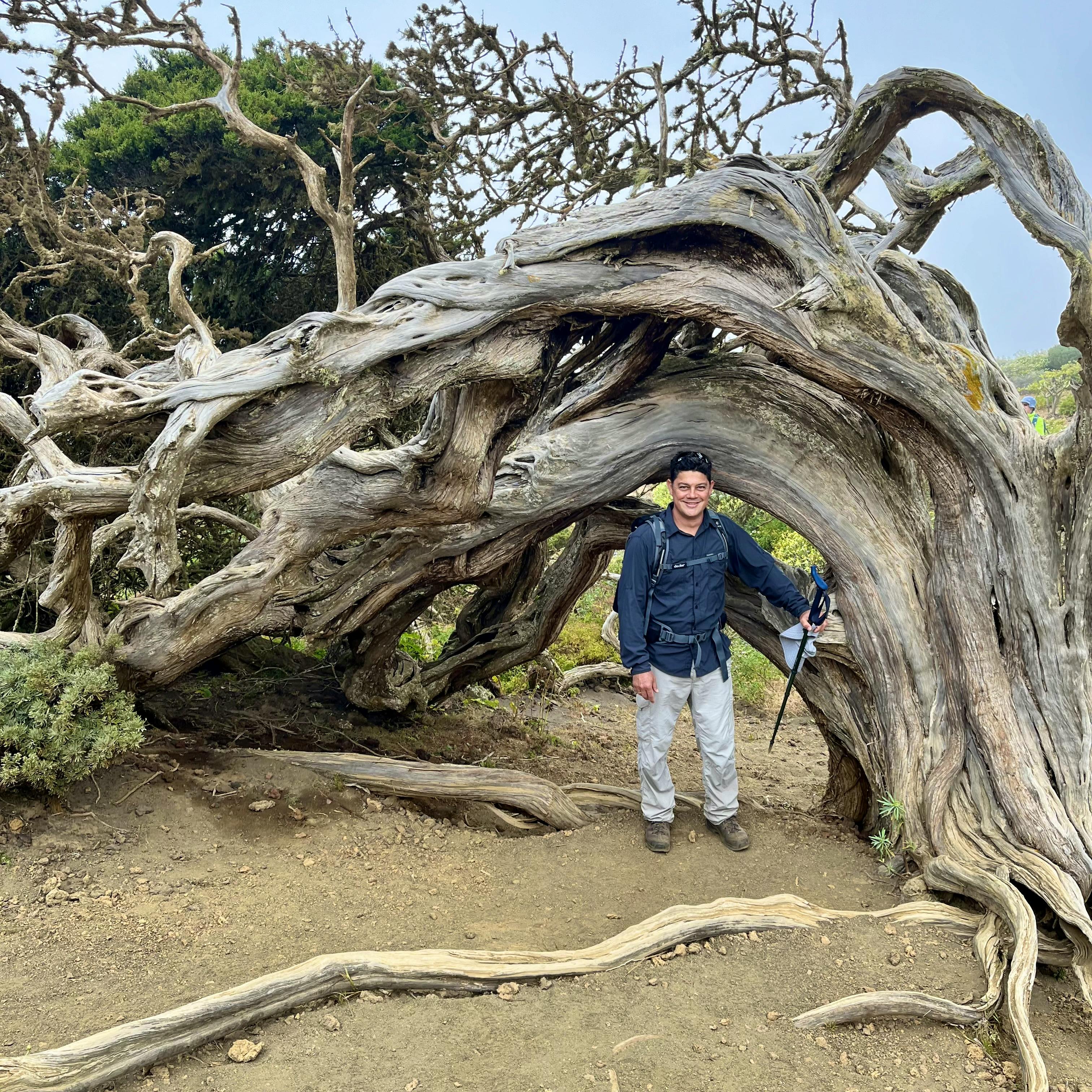 Genial! „El Hierro“ Kanarische Insel - Manuel González Urrutia