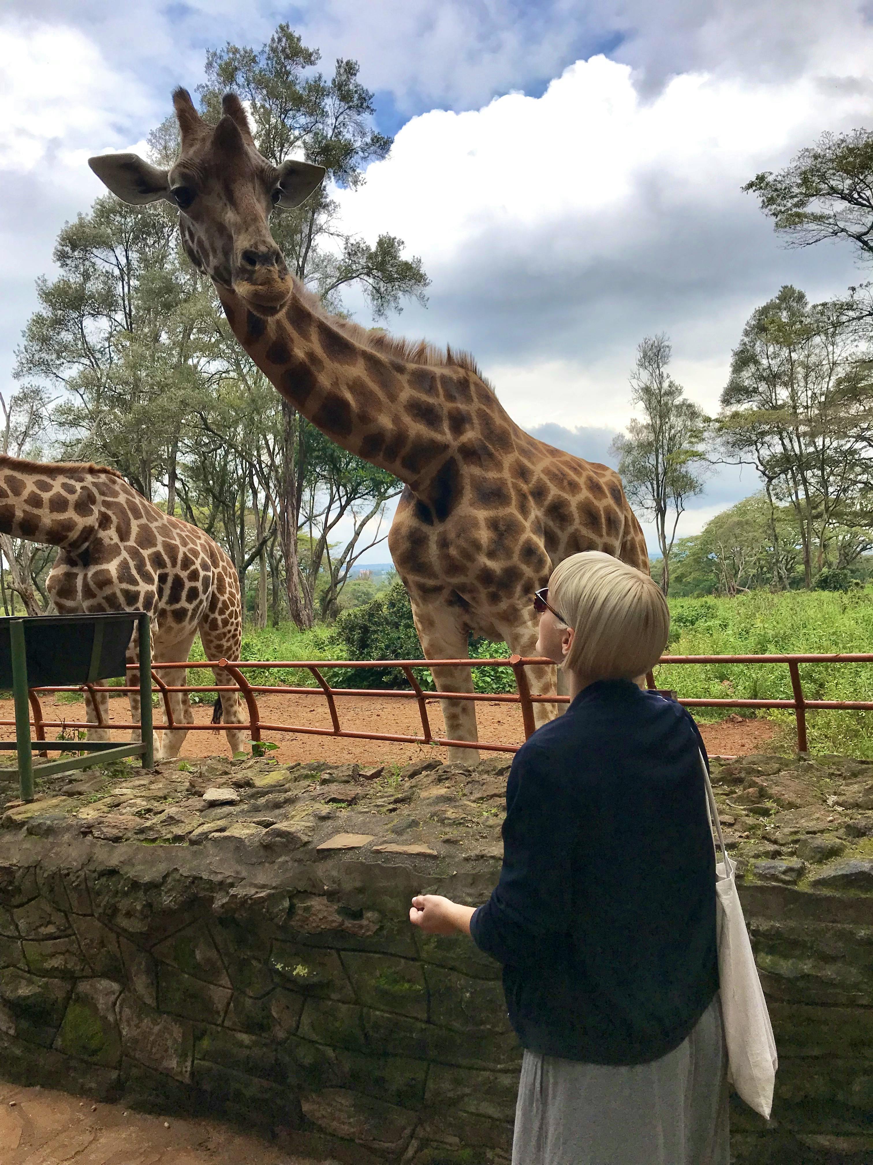 Zu Besuch im Giraffenschutzgebiet Nairobi - Anna Petzoldt