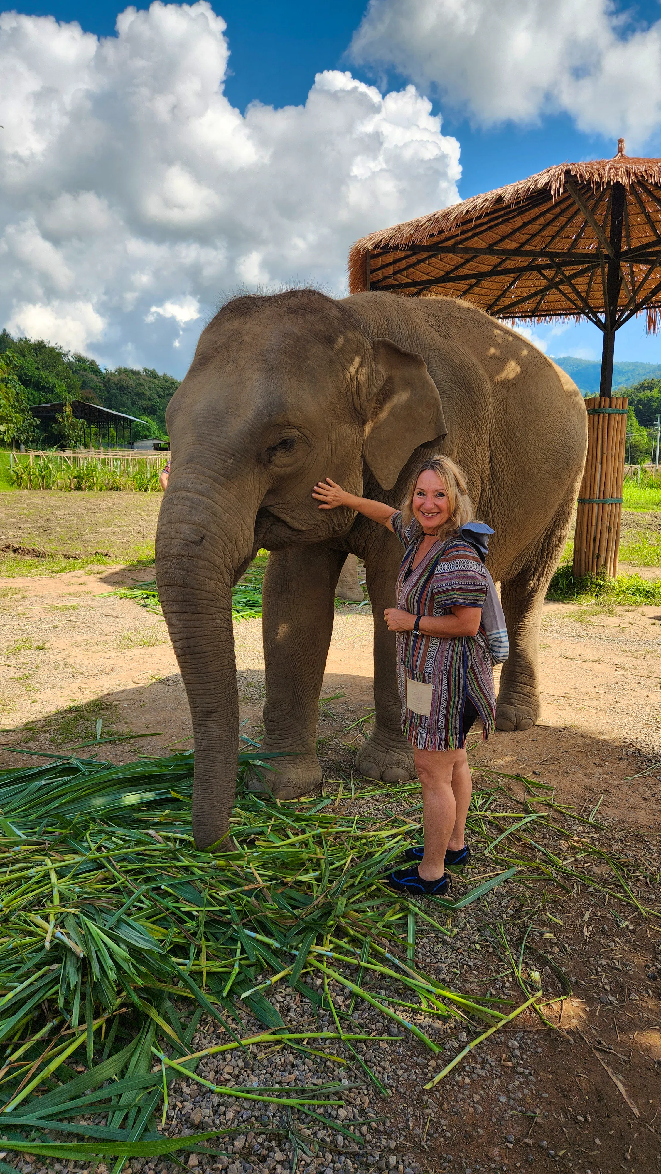Thailand - Petra Hady