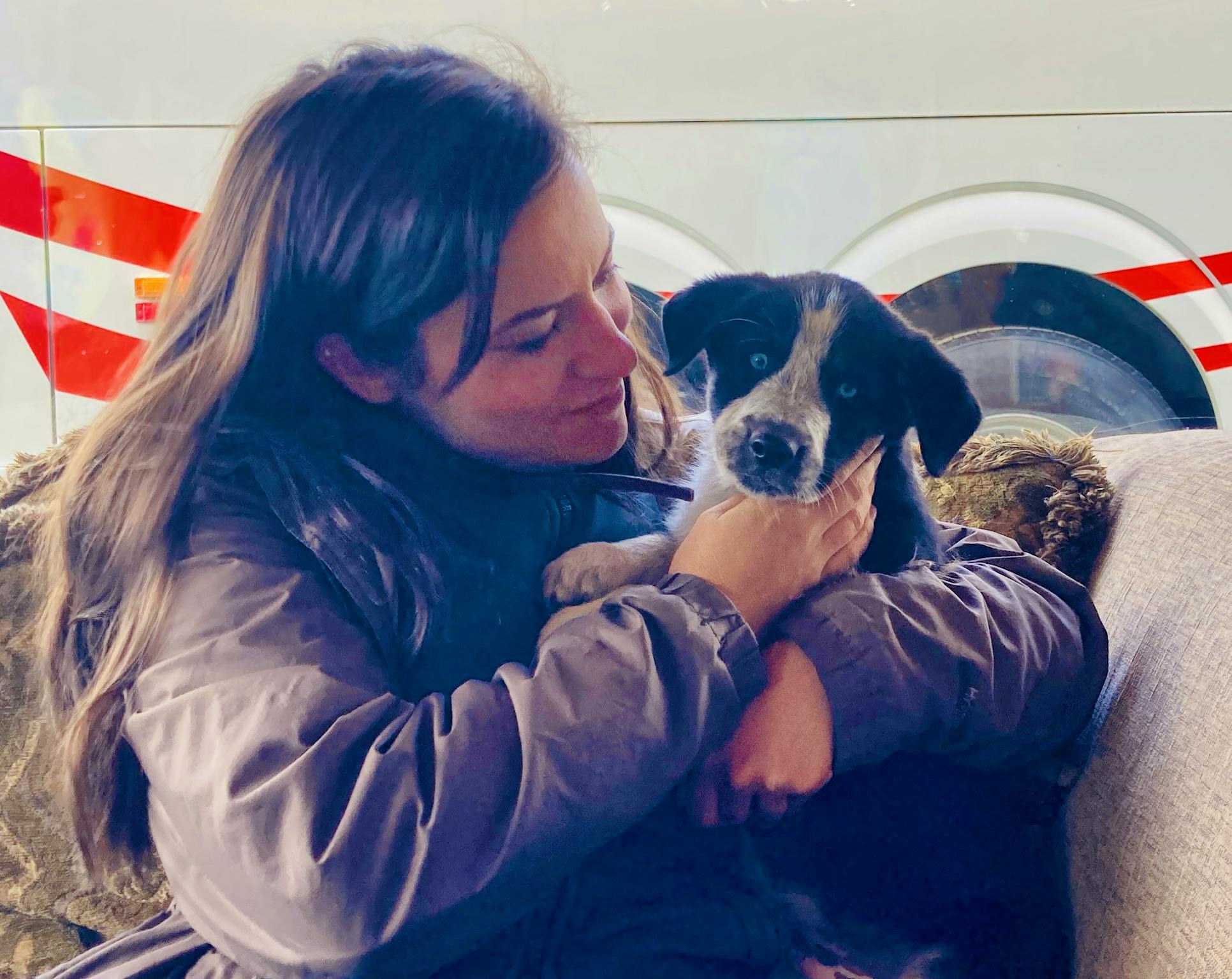 Schlittenhunde besuchen - Mareike Schmidt