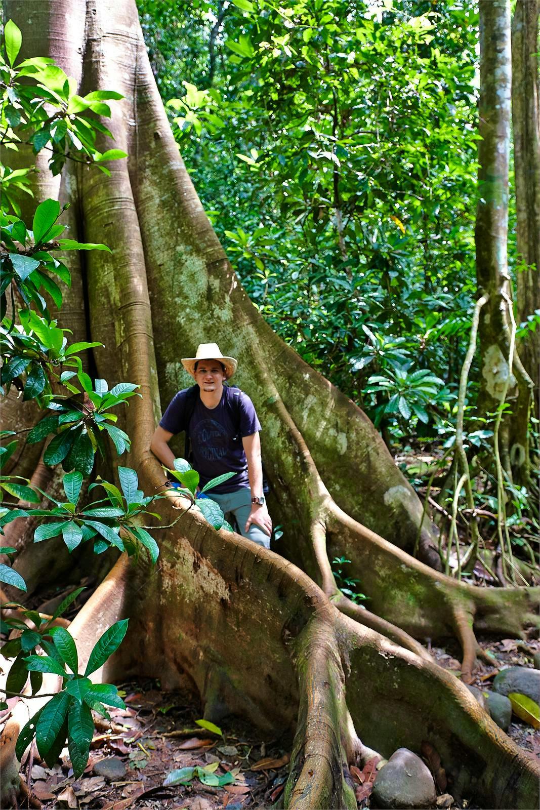 Carara-Nationalpark, Costa Rica - Lars Dittrich