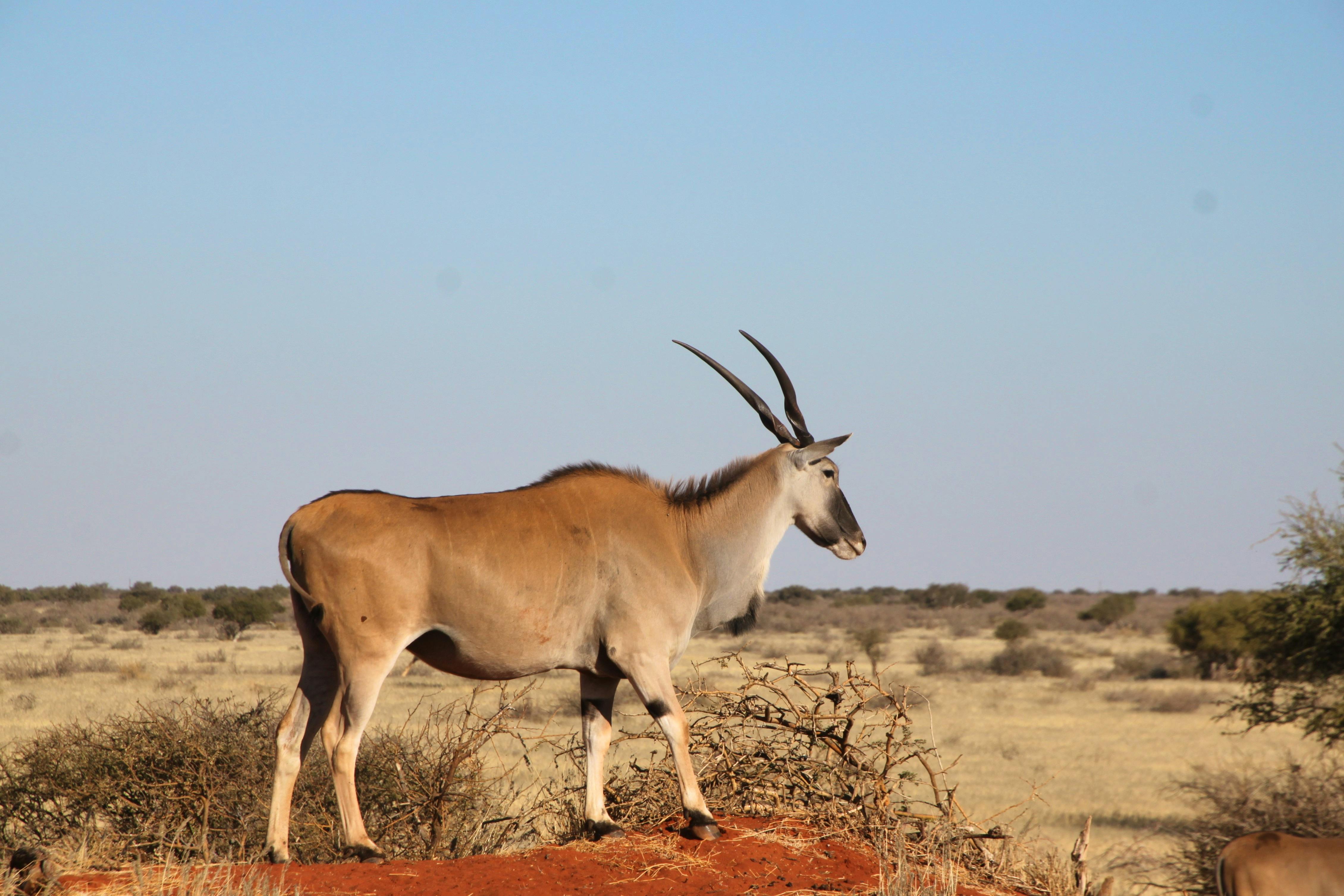 Namibia - Falk Rätzer