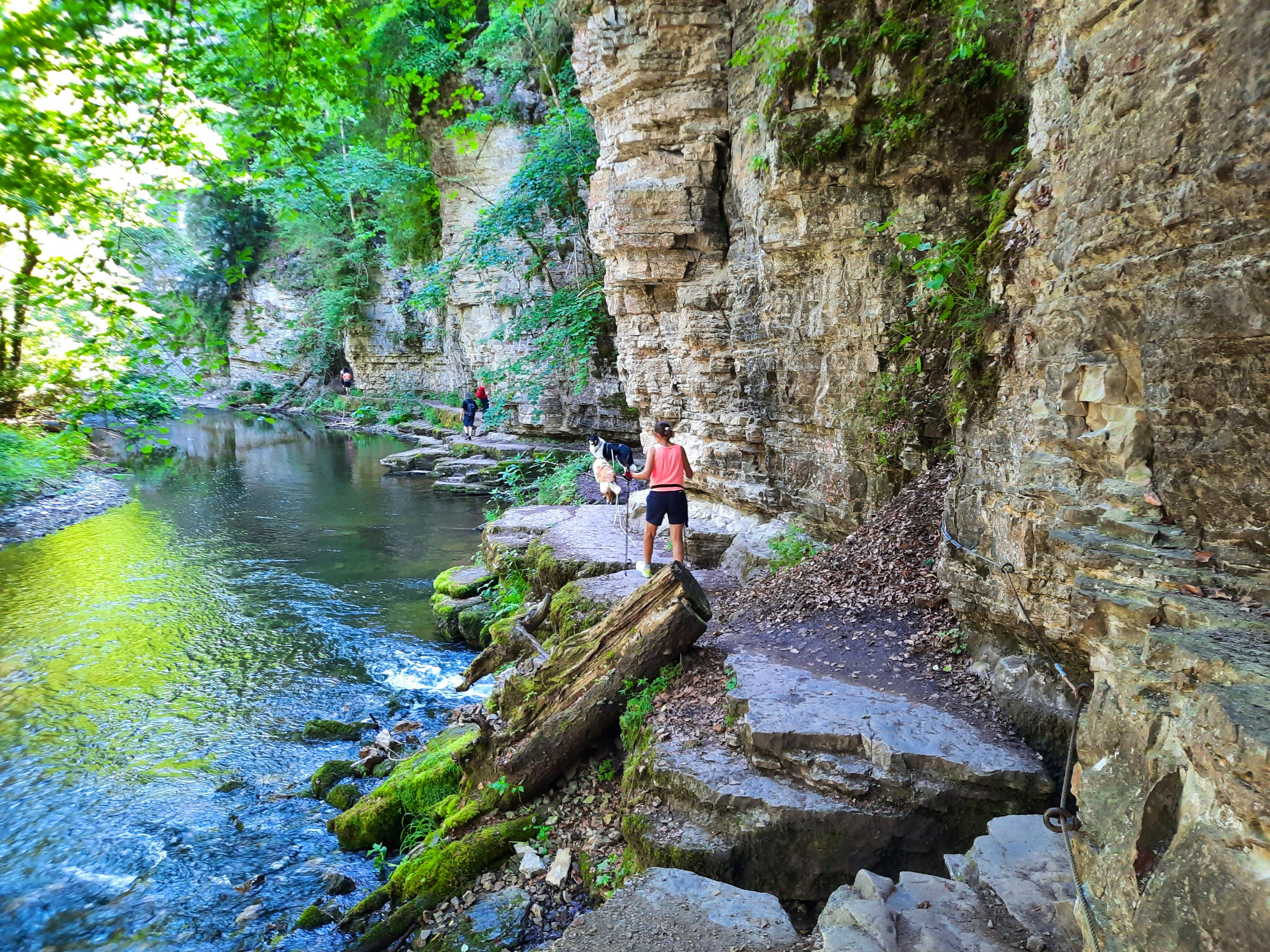 vielfältiger Schwarzwald - Beate Klingebiel