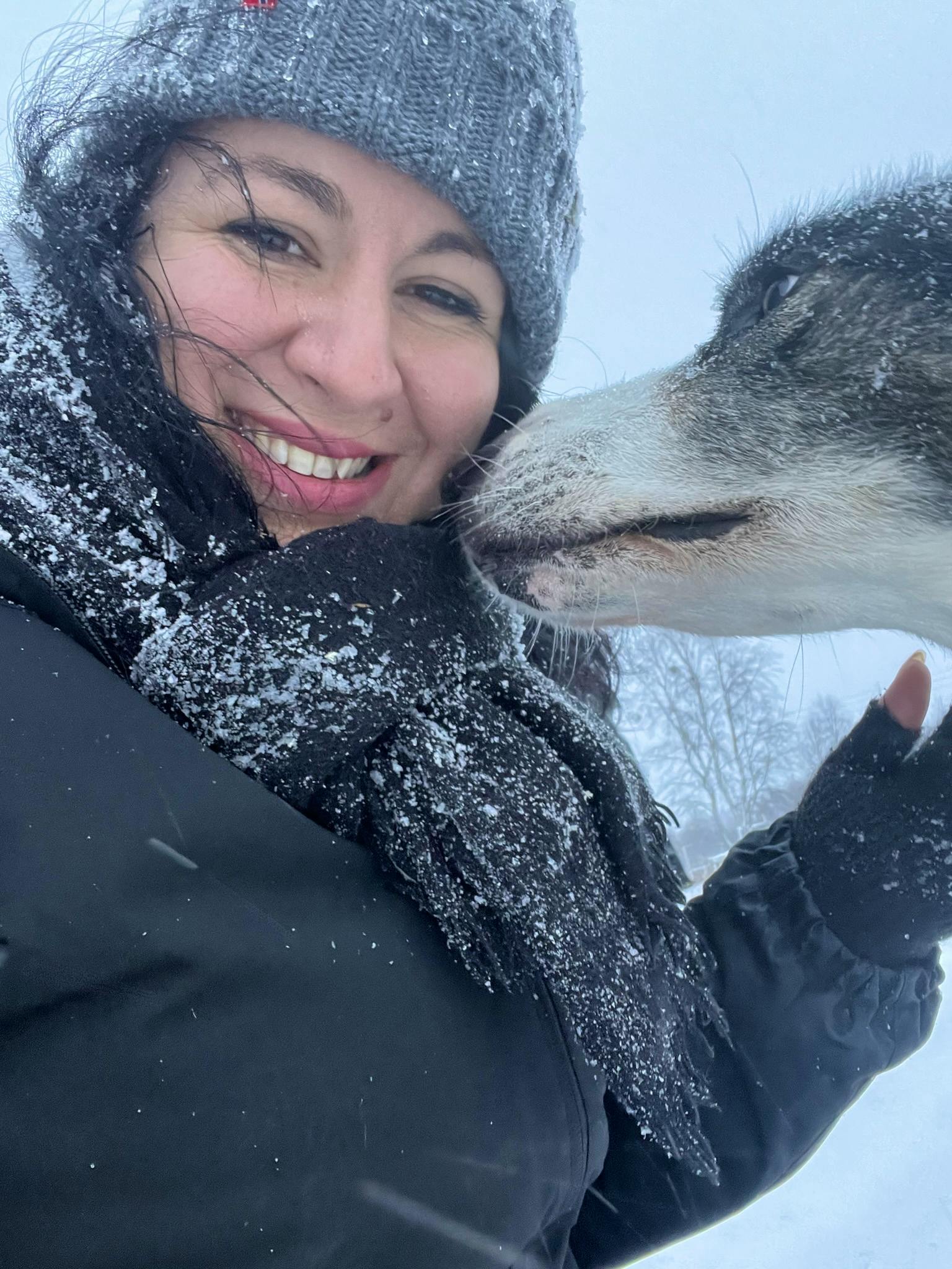 Huskysafari Kirkeness - Madlena Voigt