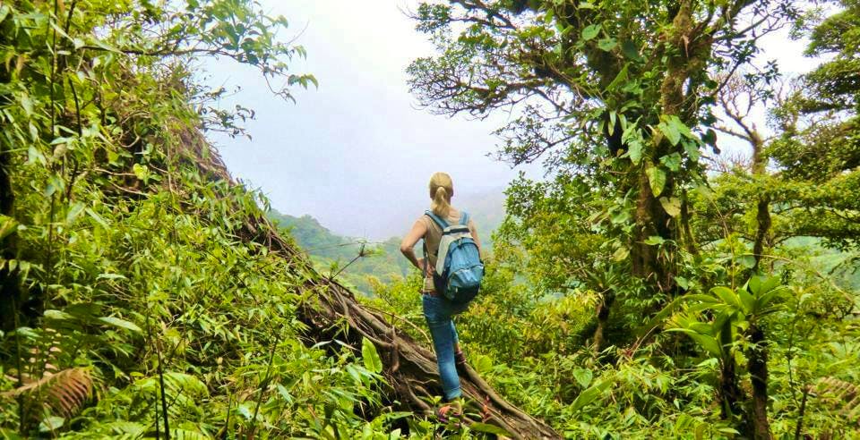 Monteverde Cloud Forest - Christin Kuschka
