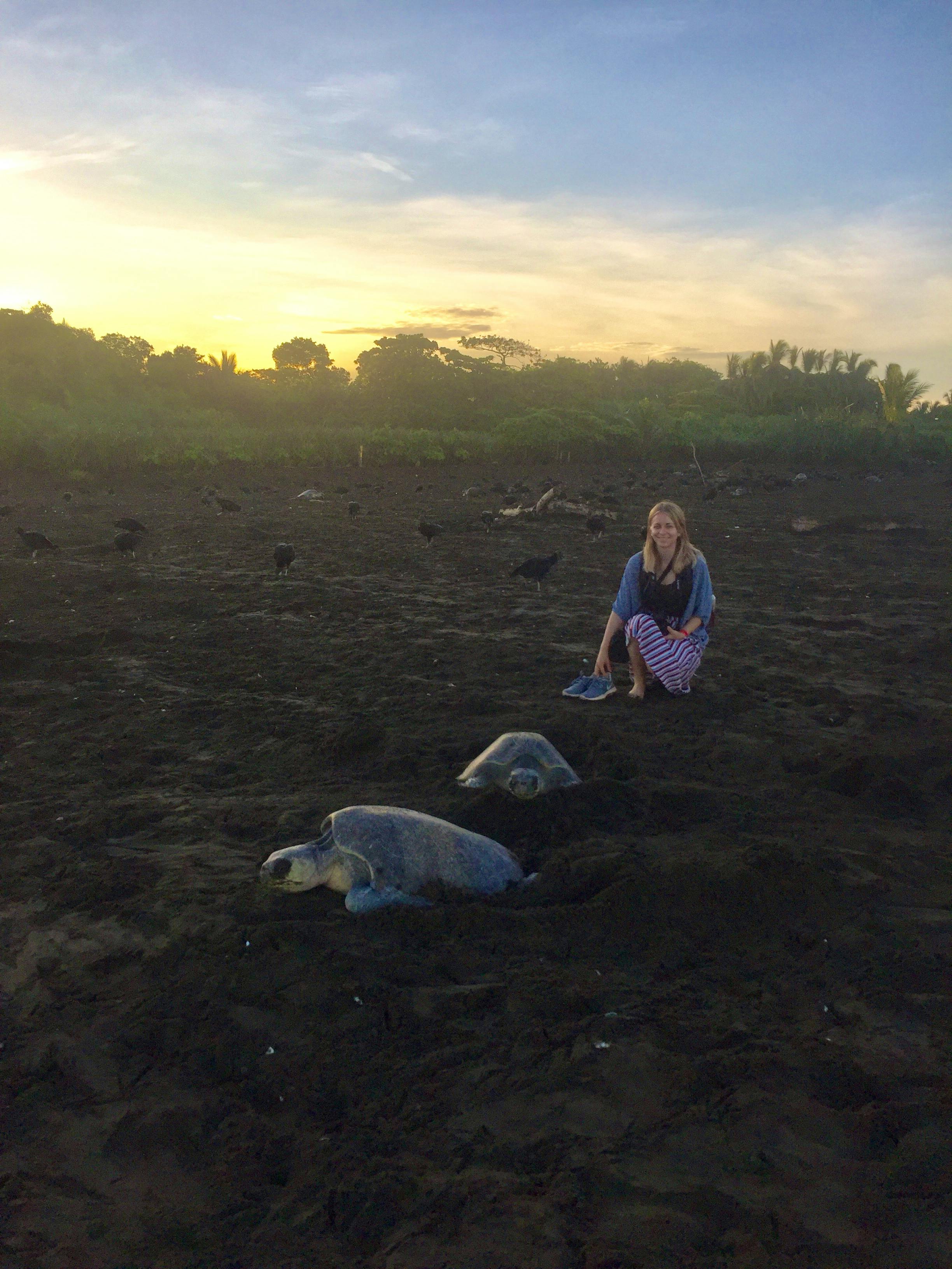 Nosara Schildkröten - Teresa Rumpel