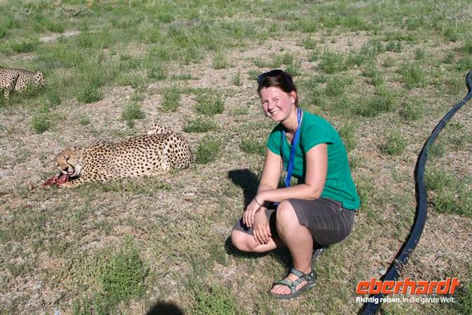 Hautnah mit Geparden in Namibia - Isabell Wohlrab