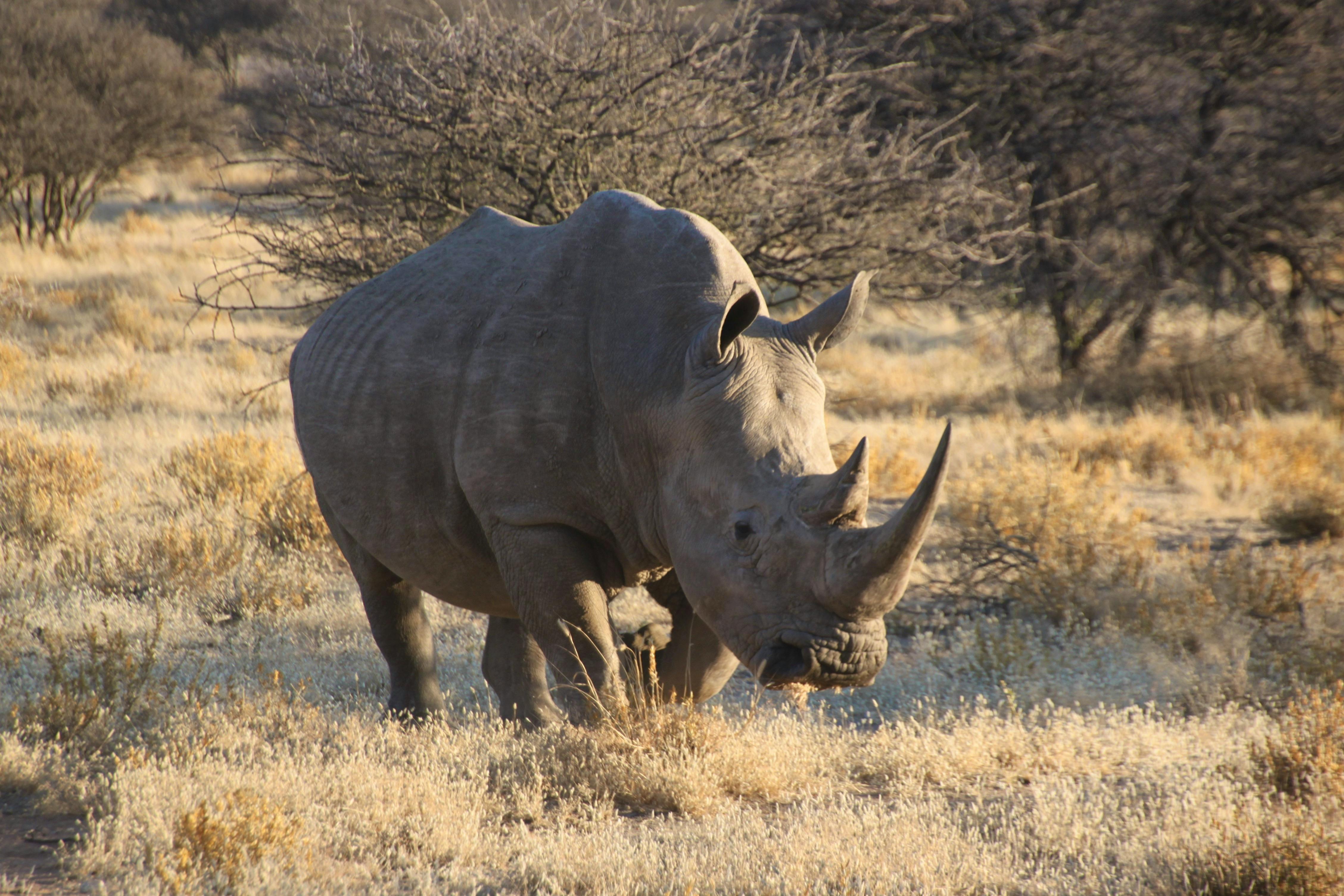 Namibia - Falk Rätzer