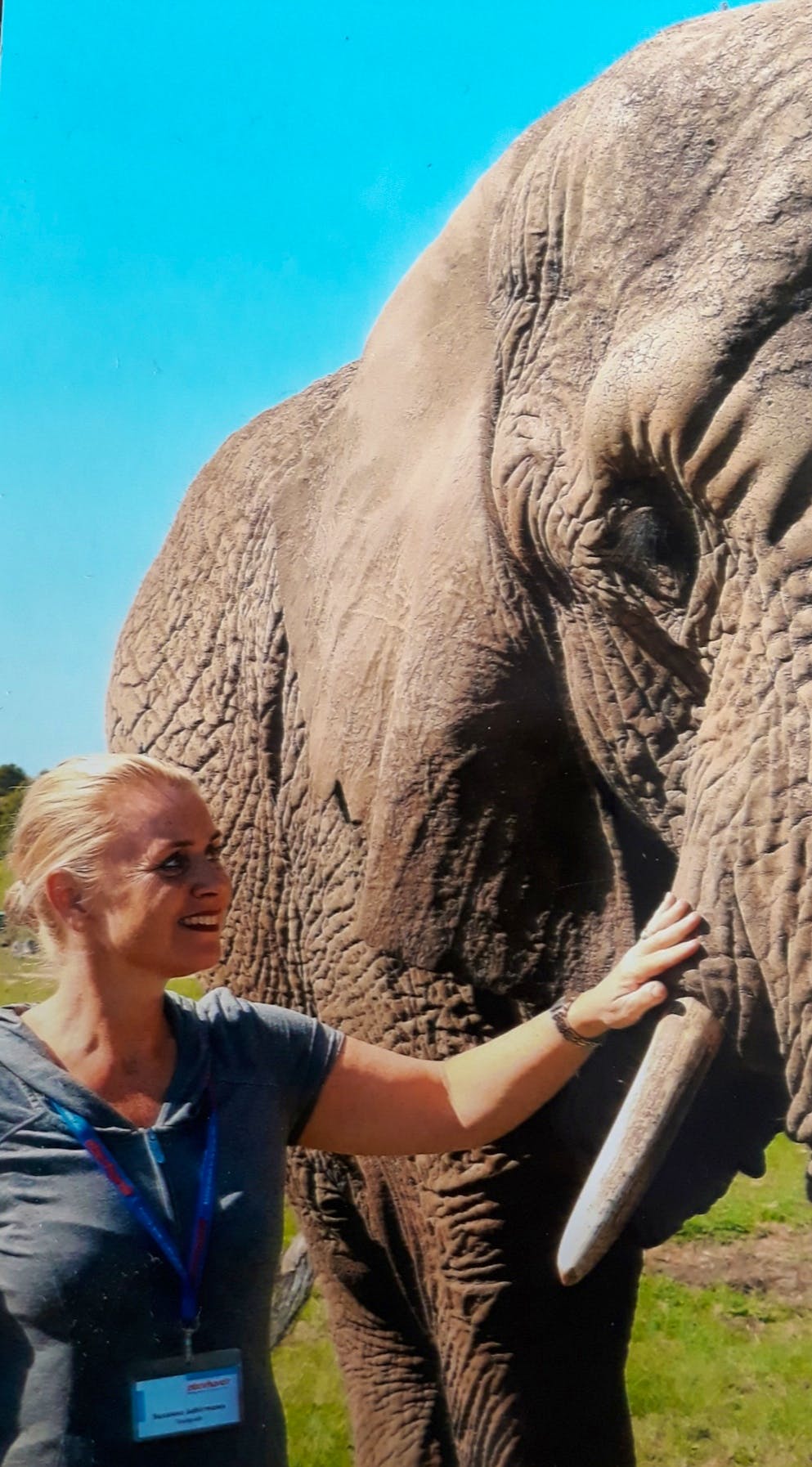 Besondere Begegnung  - Susanne Schirmann