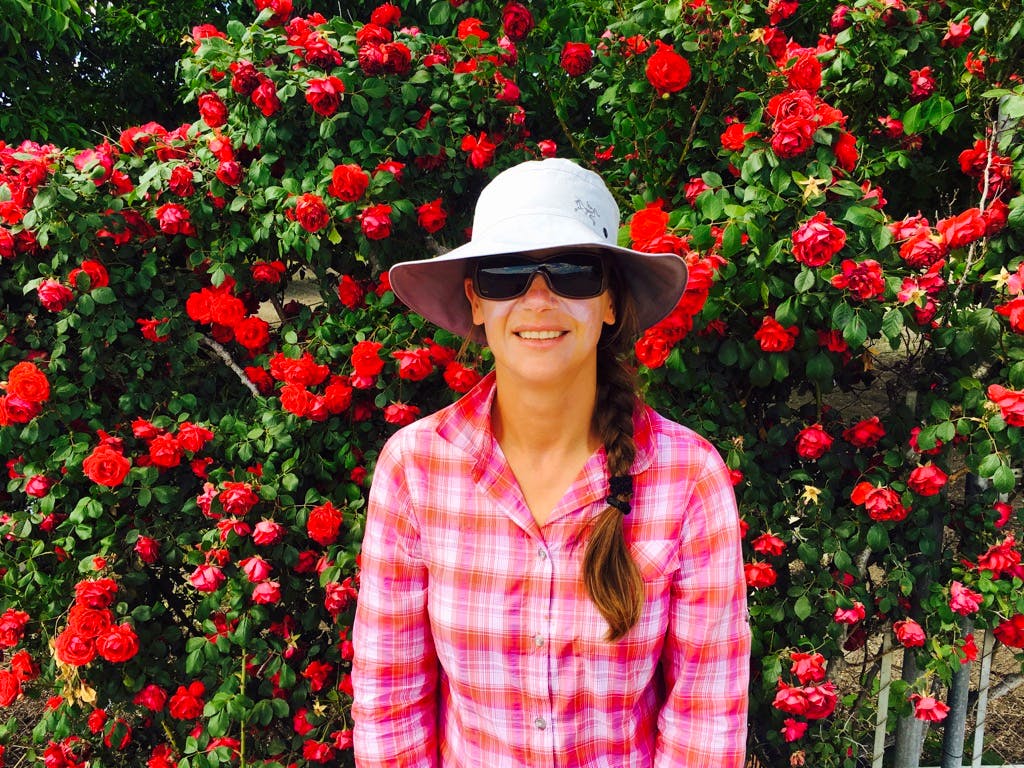 Jakobsweg Via de la Plata Sevilla-Santiago - Sabine C. Seifert