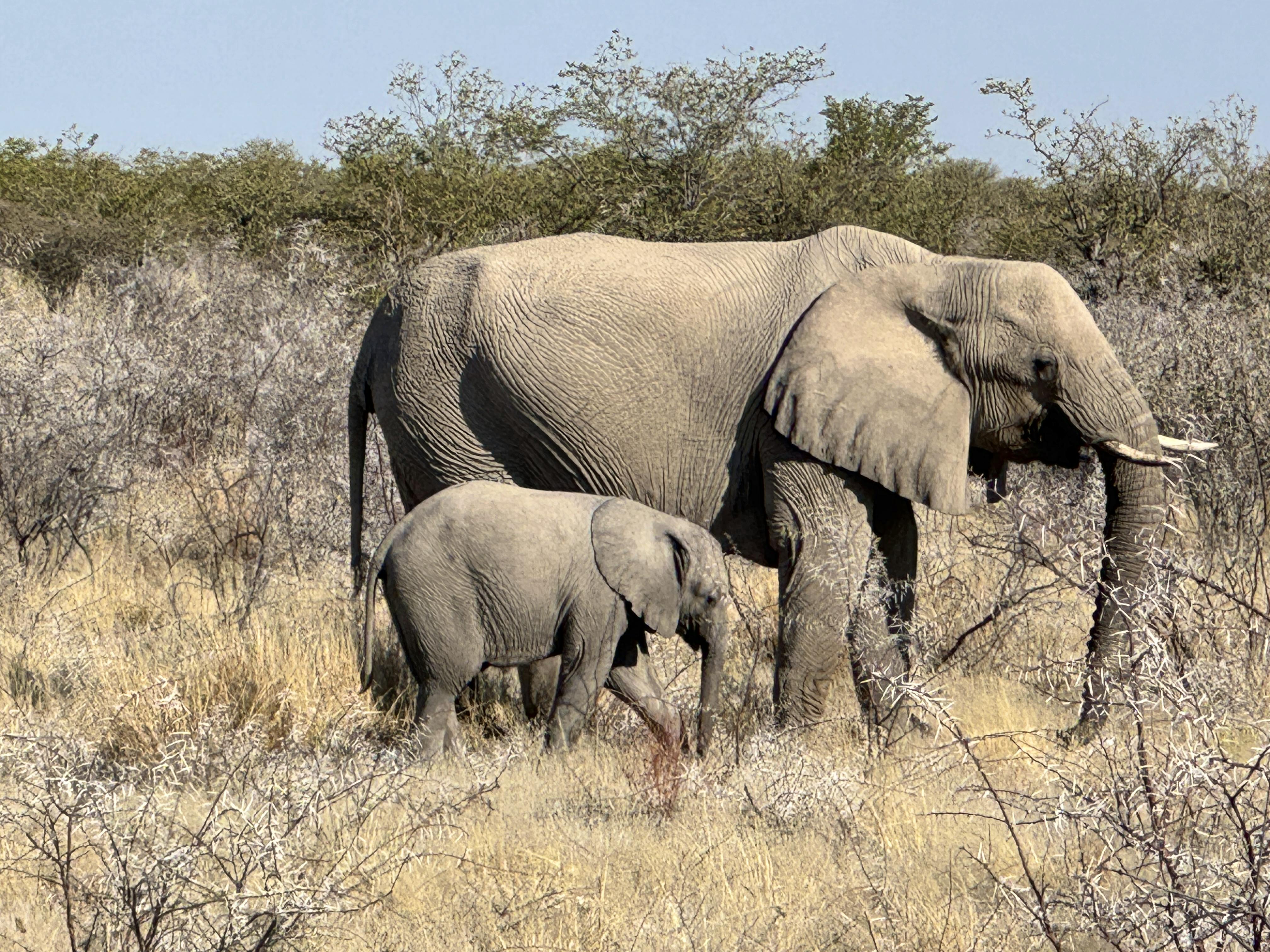 Namibia - Falk Rätzer