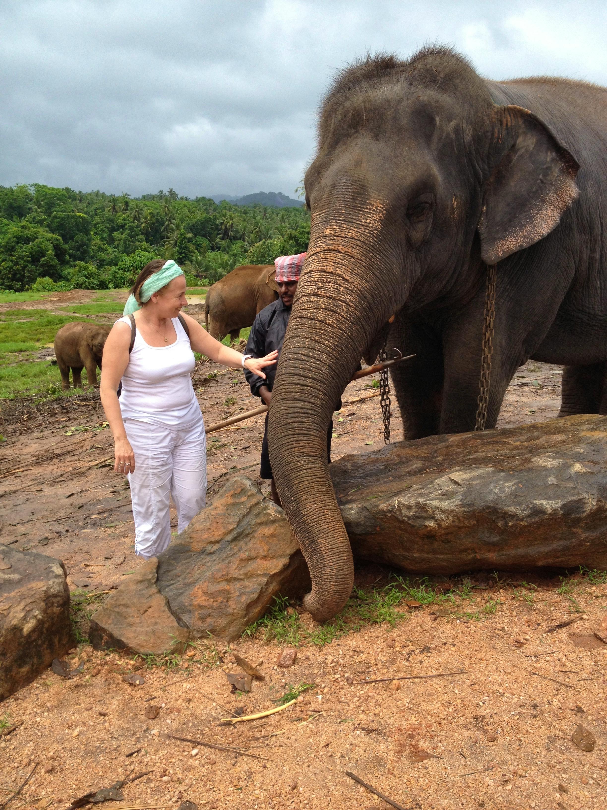 Sabaragamuwa - Carmen Kiefer