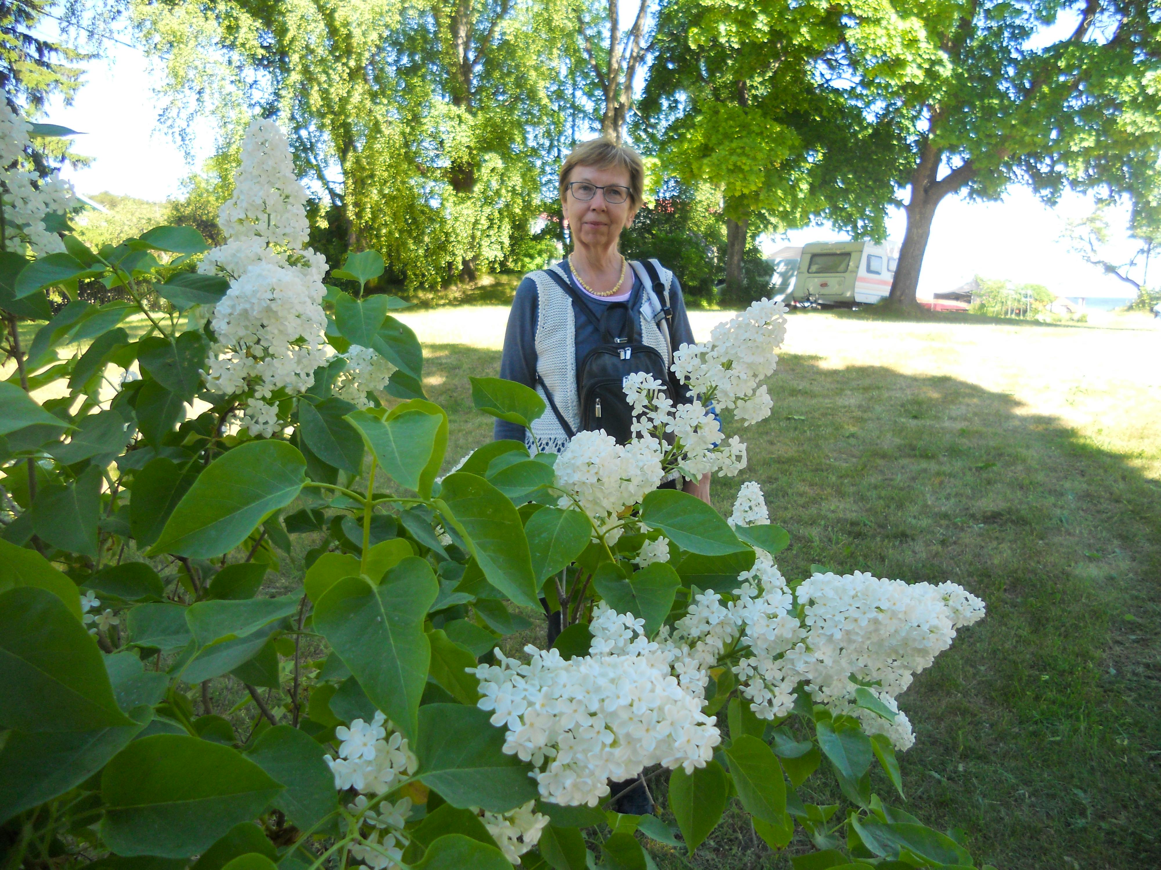 Baltikum - Inge Bily