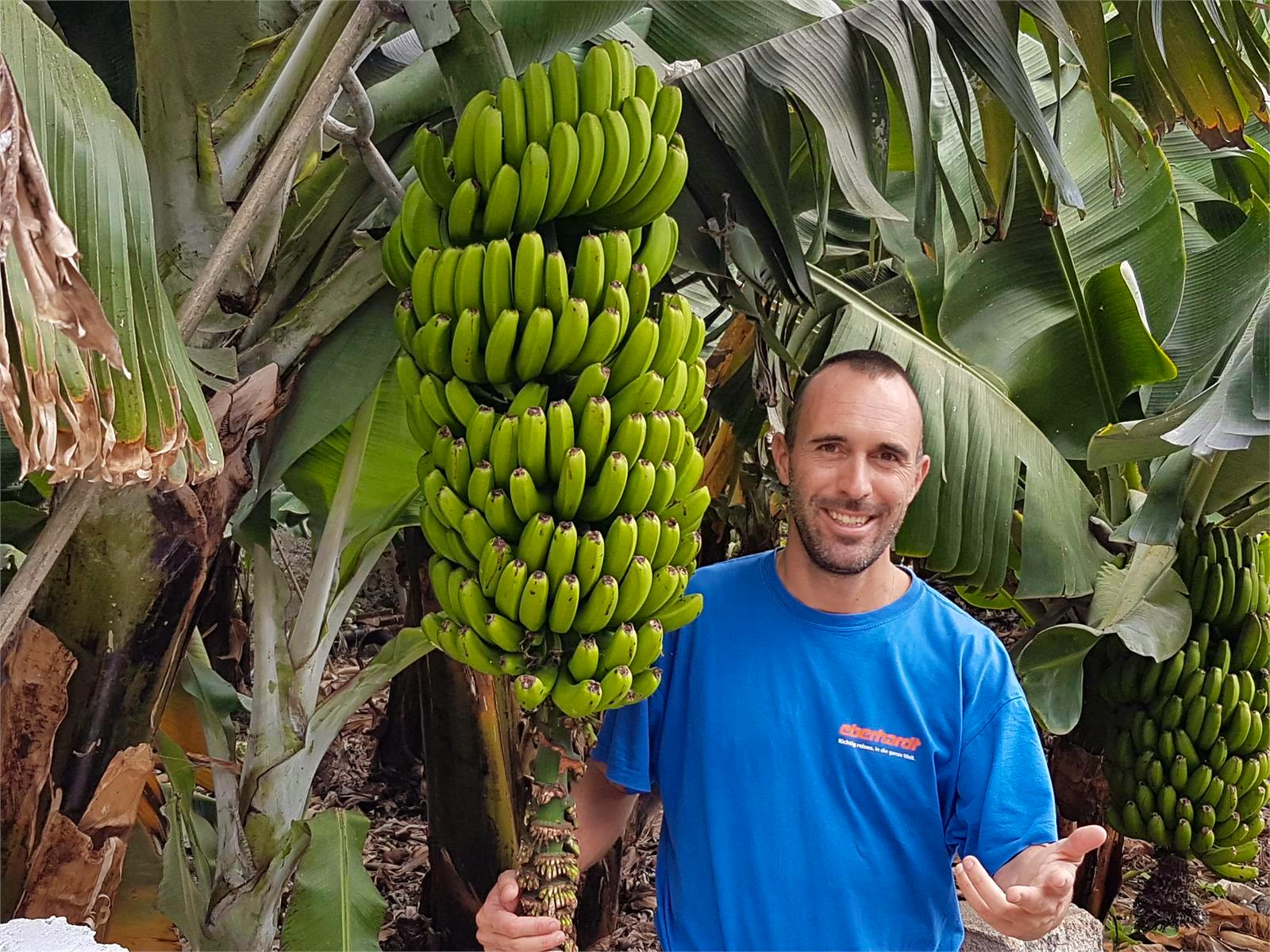 Kanaren - Benjamin Rodriguez Manzanares