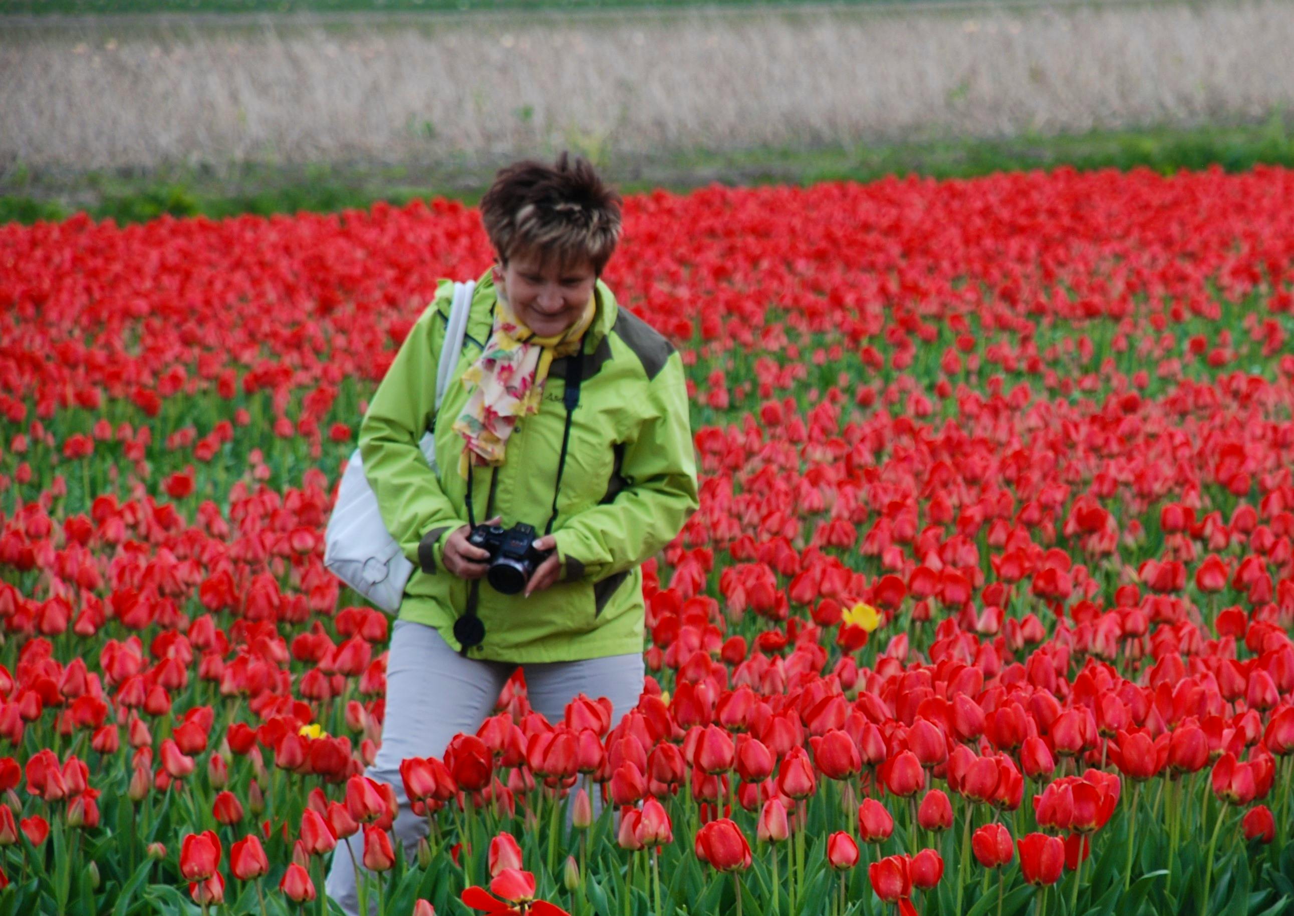 Holland 2014 - Steffi Lambrecht