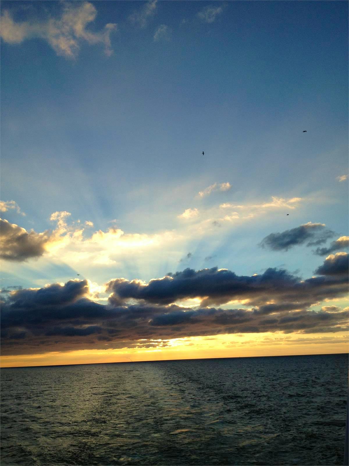 Mit MS Hamburg auf großer Fahrt - Peter Wagner