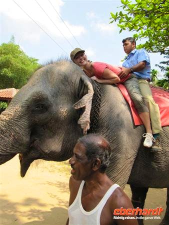 Sri Lanka: Einfach nur tierlieb - was sonst? - Anne Schröder