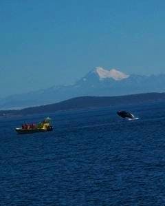 Kanada - Elisabeth Fox-Maerki