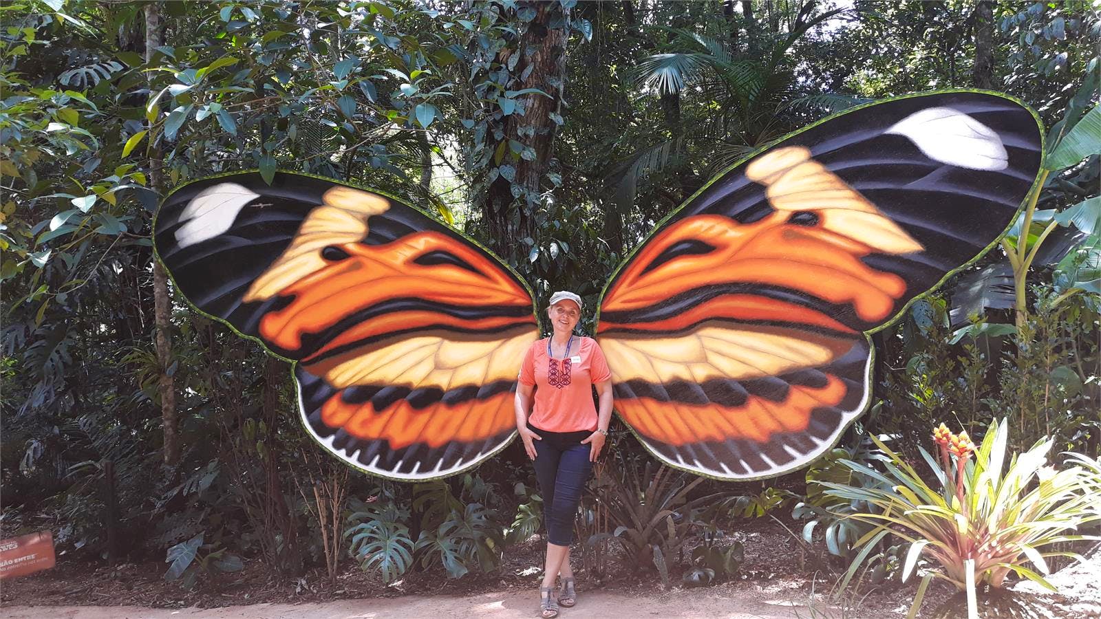 Brasilien - Susanne Schirmann