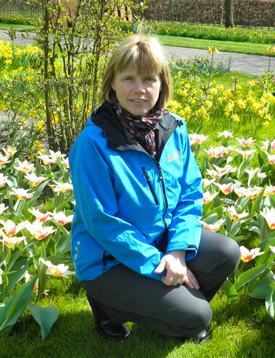 Niederlande - Constanze Maißel