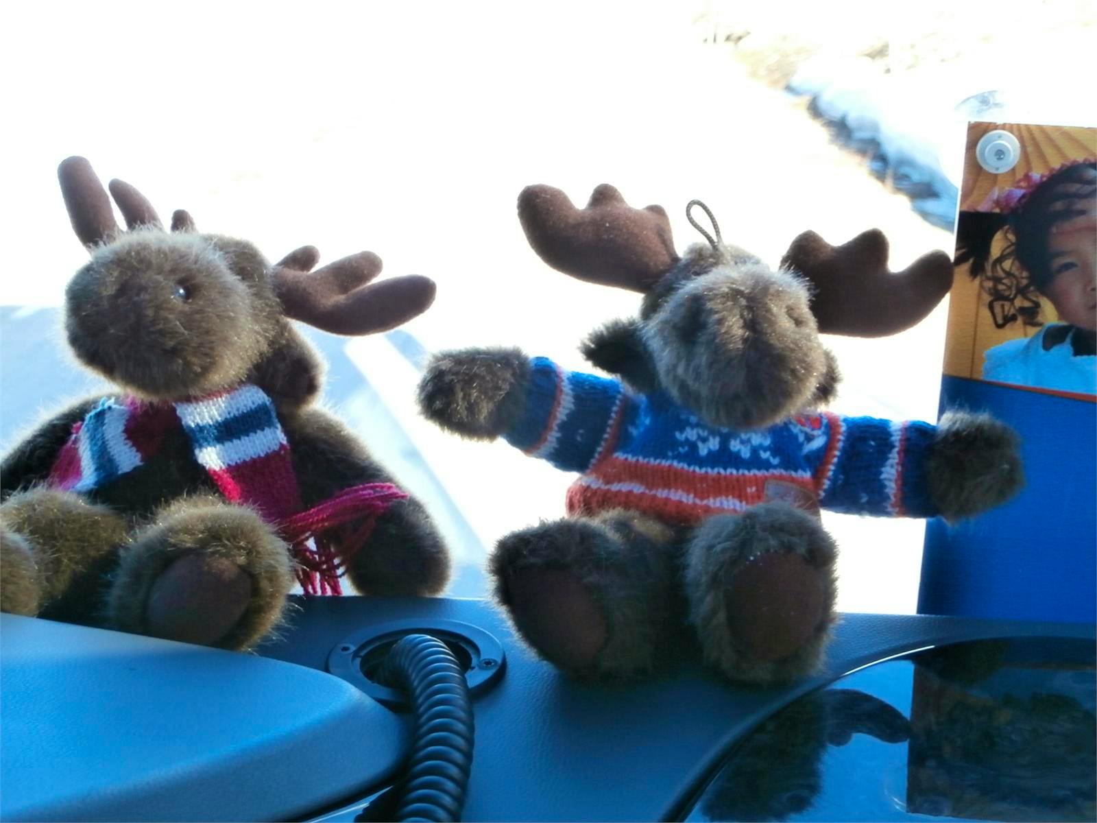 Norwegen - Ingrid Langer