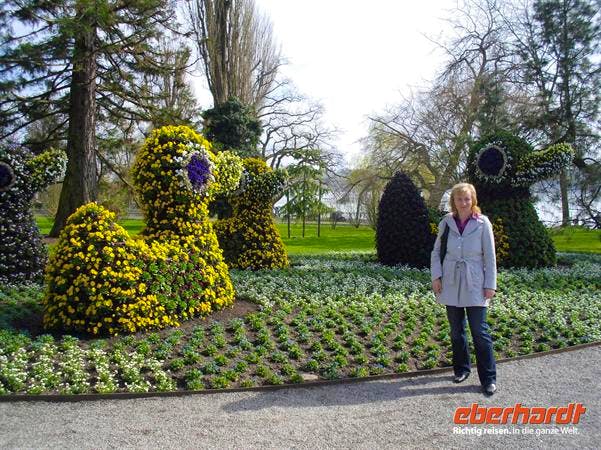 auf der Insel Mainau... - Katrin Deutschbein