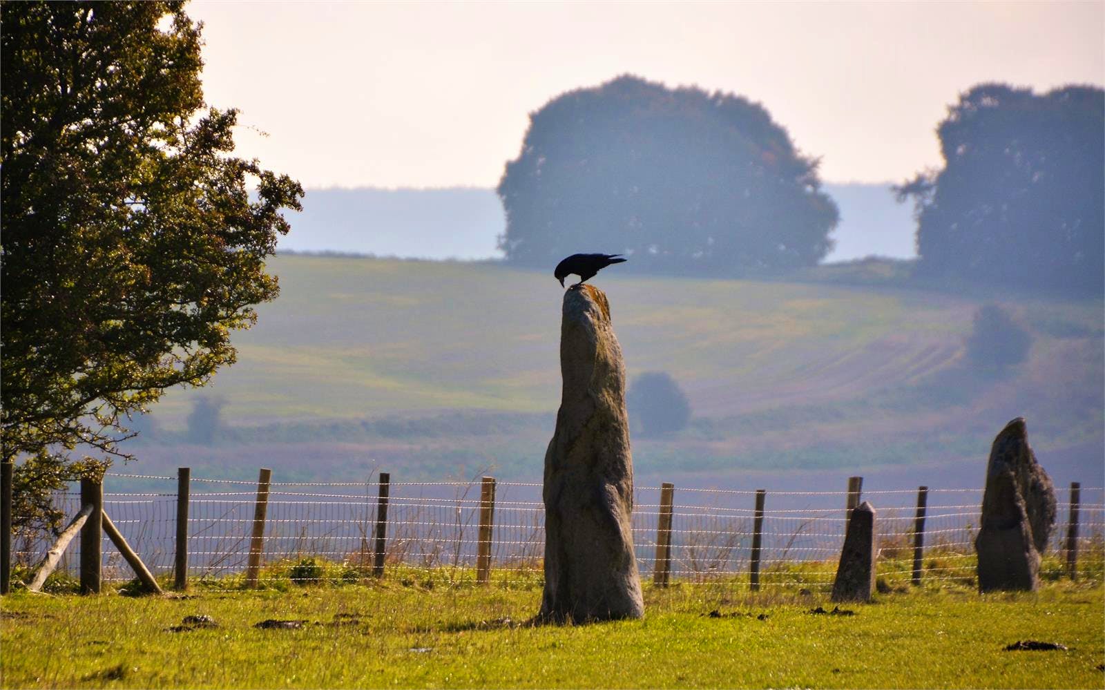 England - Gina Egenolf