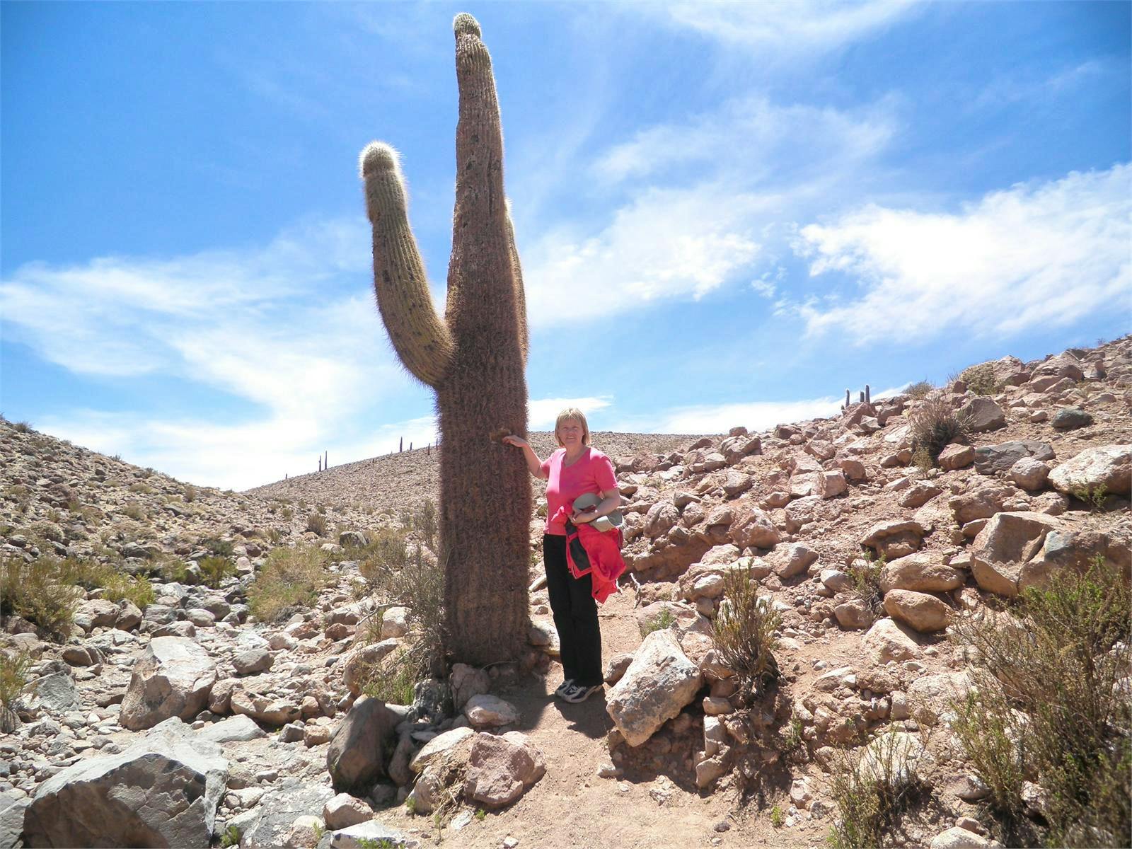 Chile - Constanze Maißel