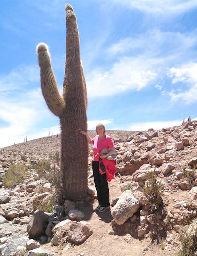 Chile - Constanze Maißel