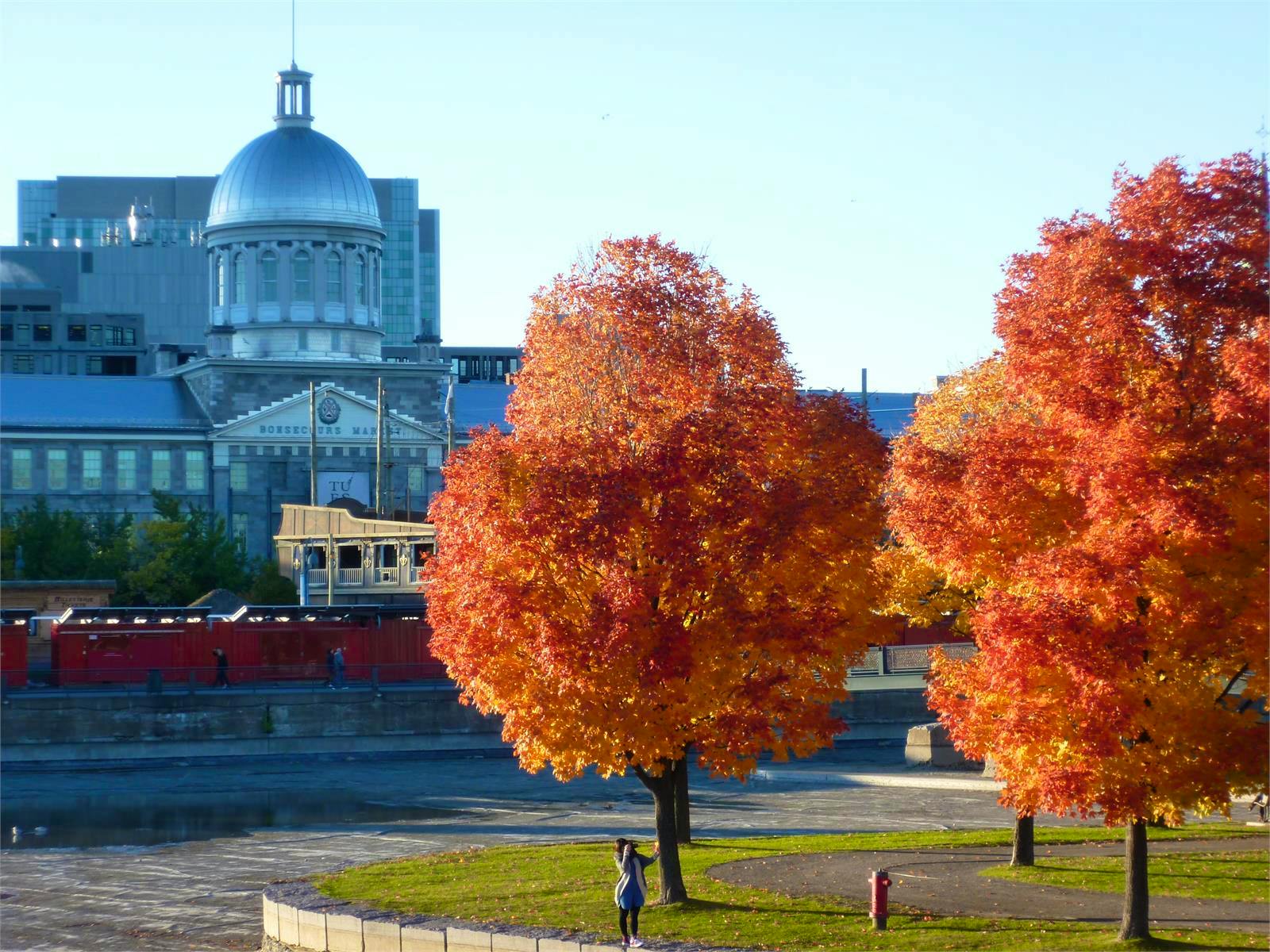 Kanada - Florian Härtl