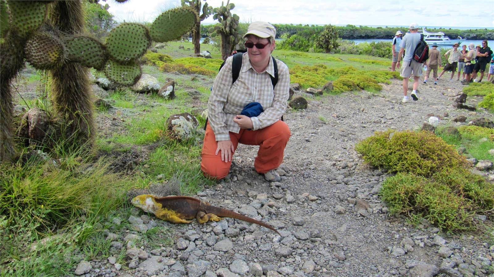 Galapagos Plaza Nord mit Leguan - Annette Probst-Weise