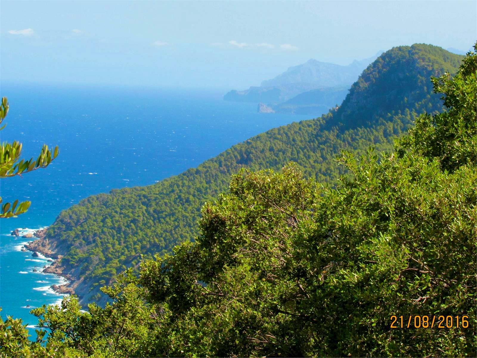 Mallorca - Maite Floris-Moser