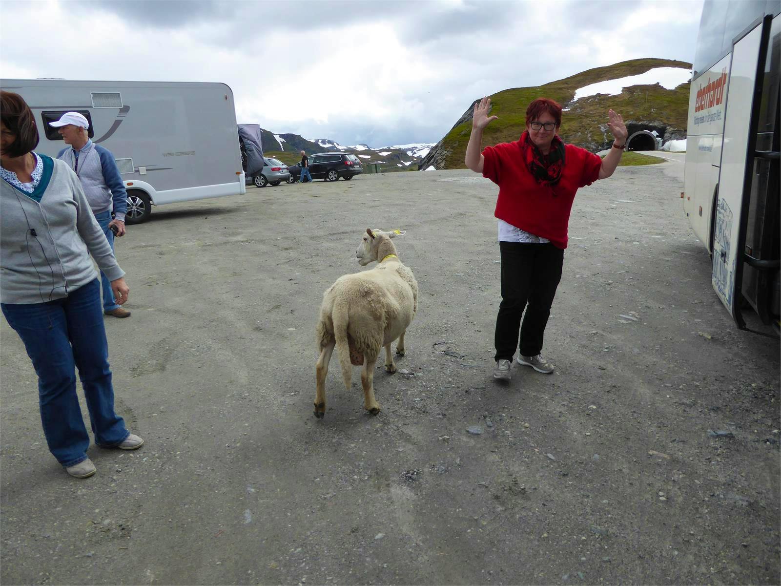 Norwegen - Sabine Letzybyll