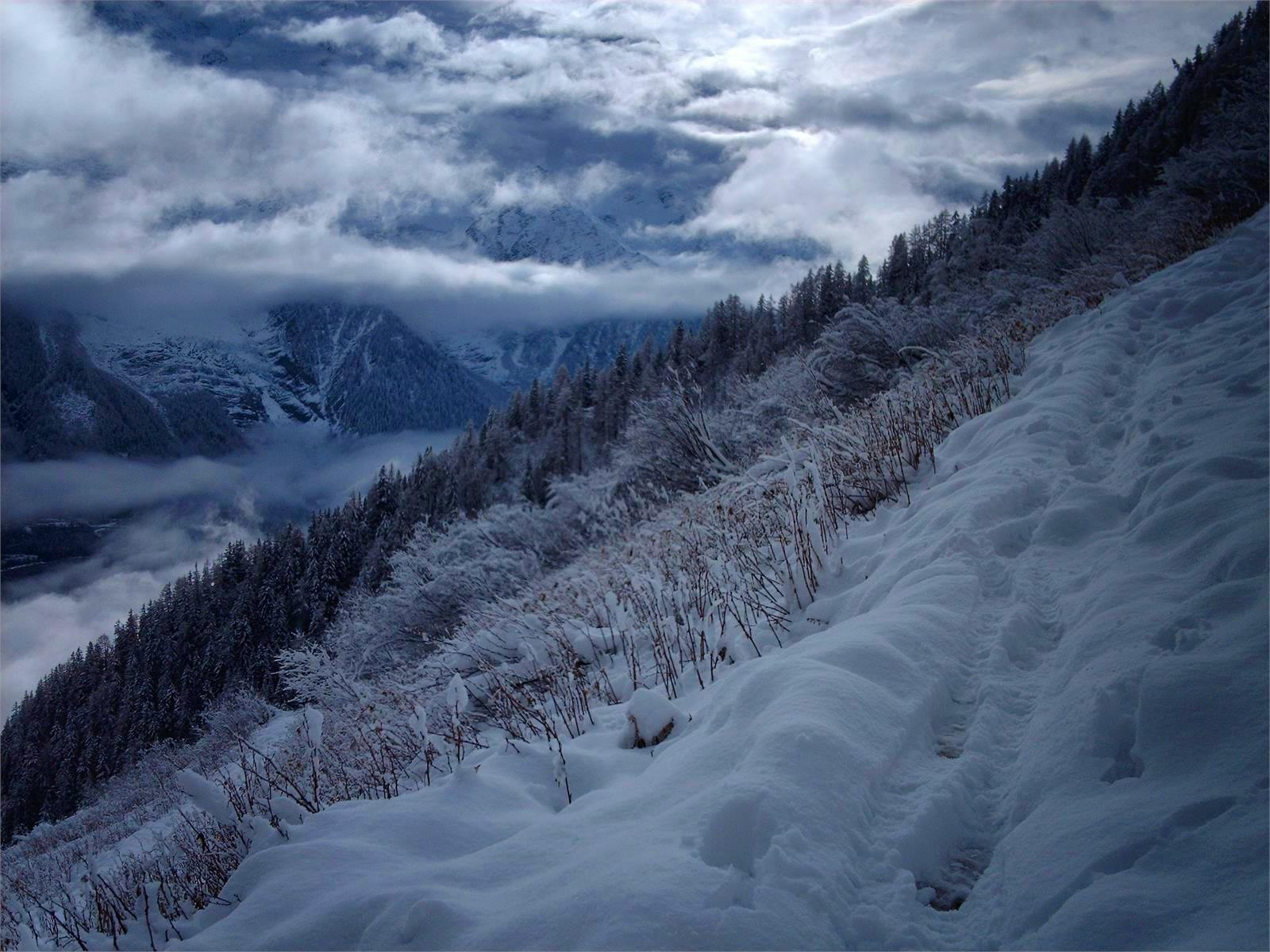 Frankreich - Florian Härtl