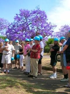 Suedafrika - Elisabeth Fox-Maerki